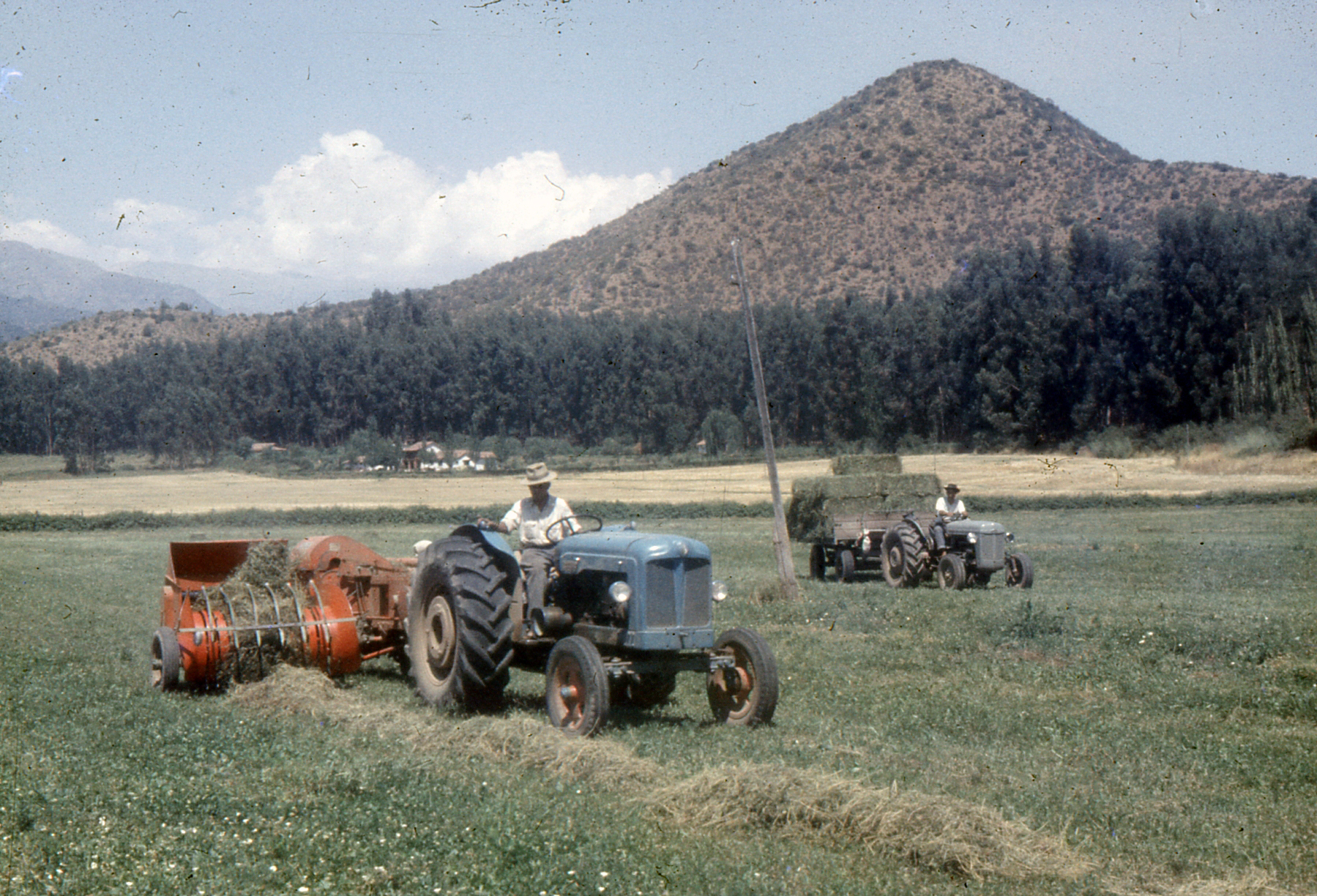 Tractor en Fundo La Punta, 1963