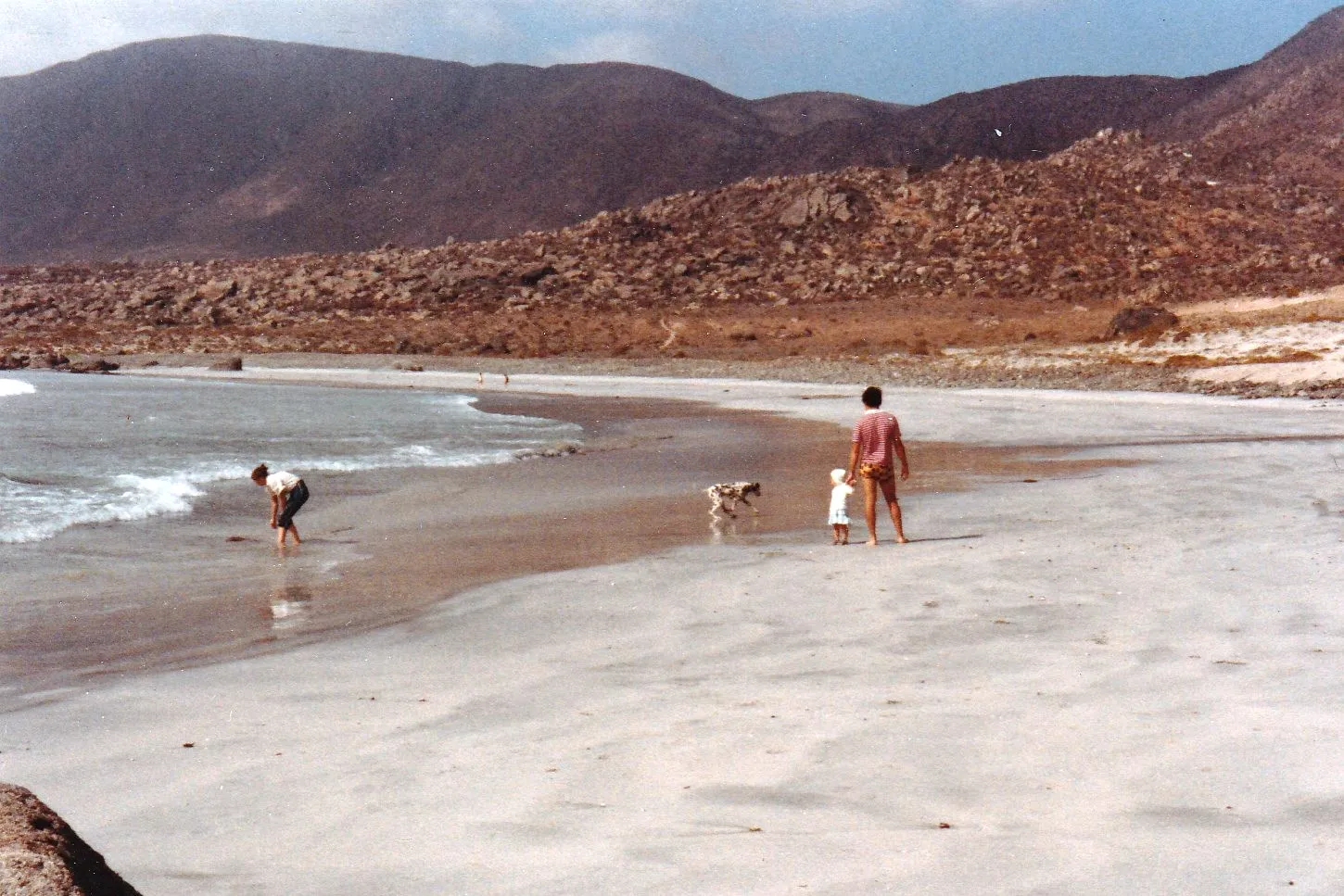 Las Tacas en 1984