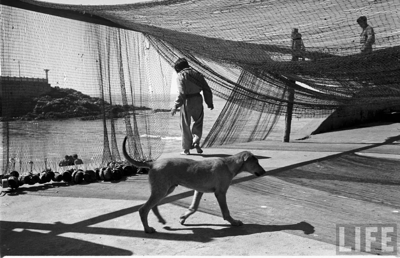 Caleta El Membrillo, Valparaíso, 1950