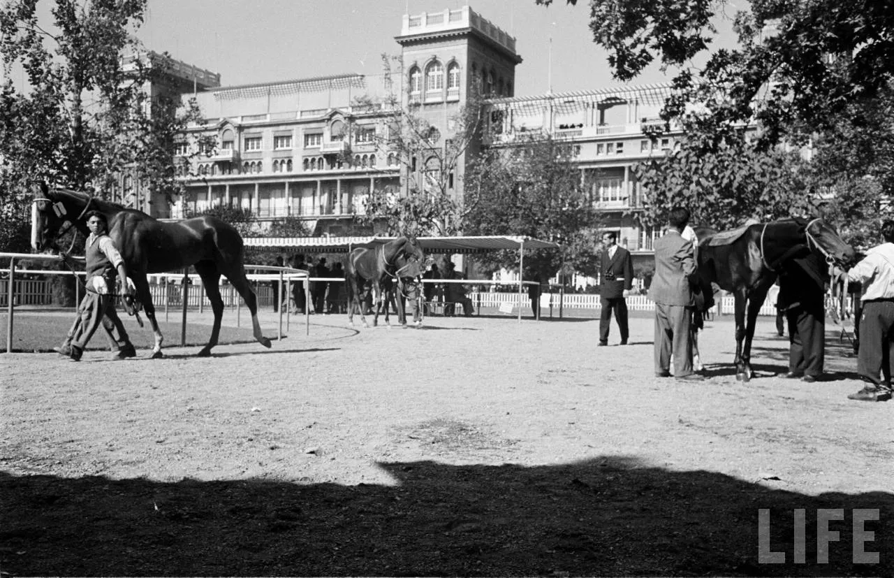 club hípico