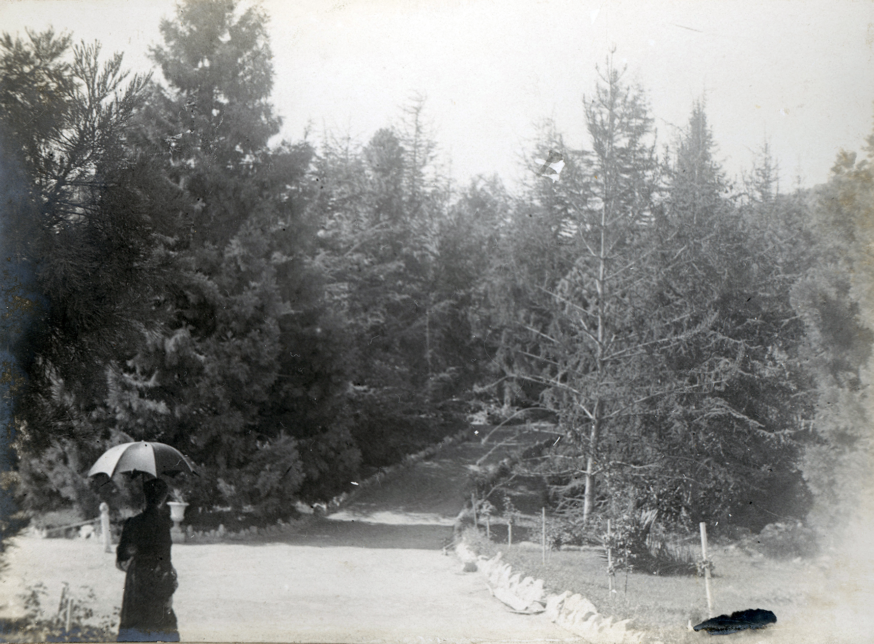 Parque Las Majadas de Pirque, CA 1901