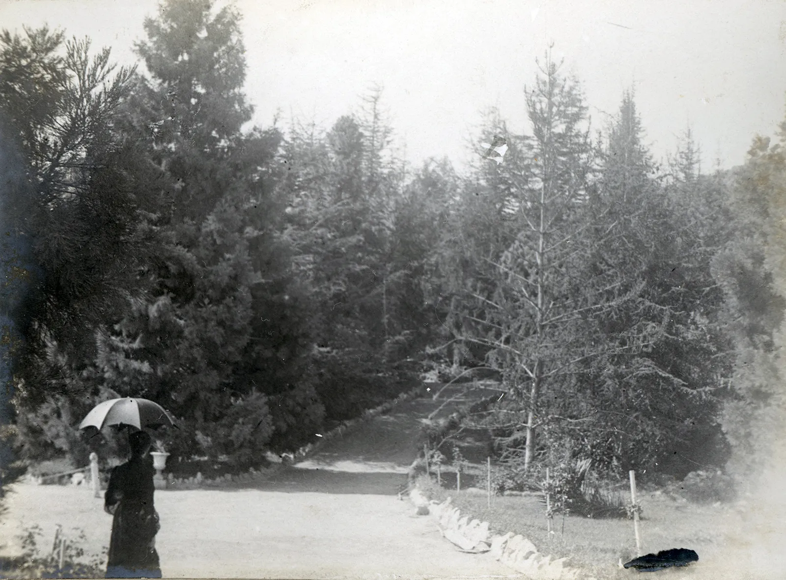 Parque Las Majadas de Pirque, CA 1901
