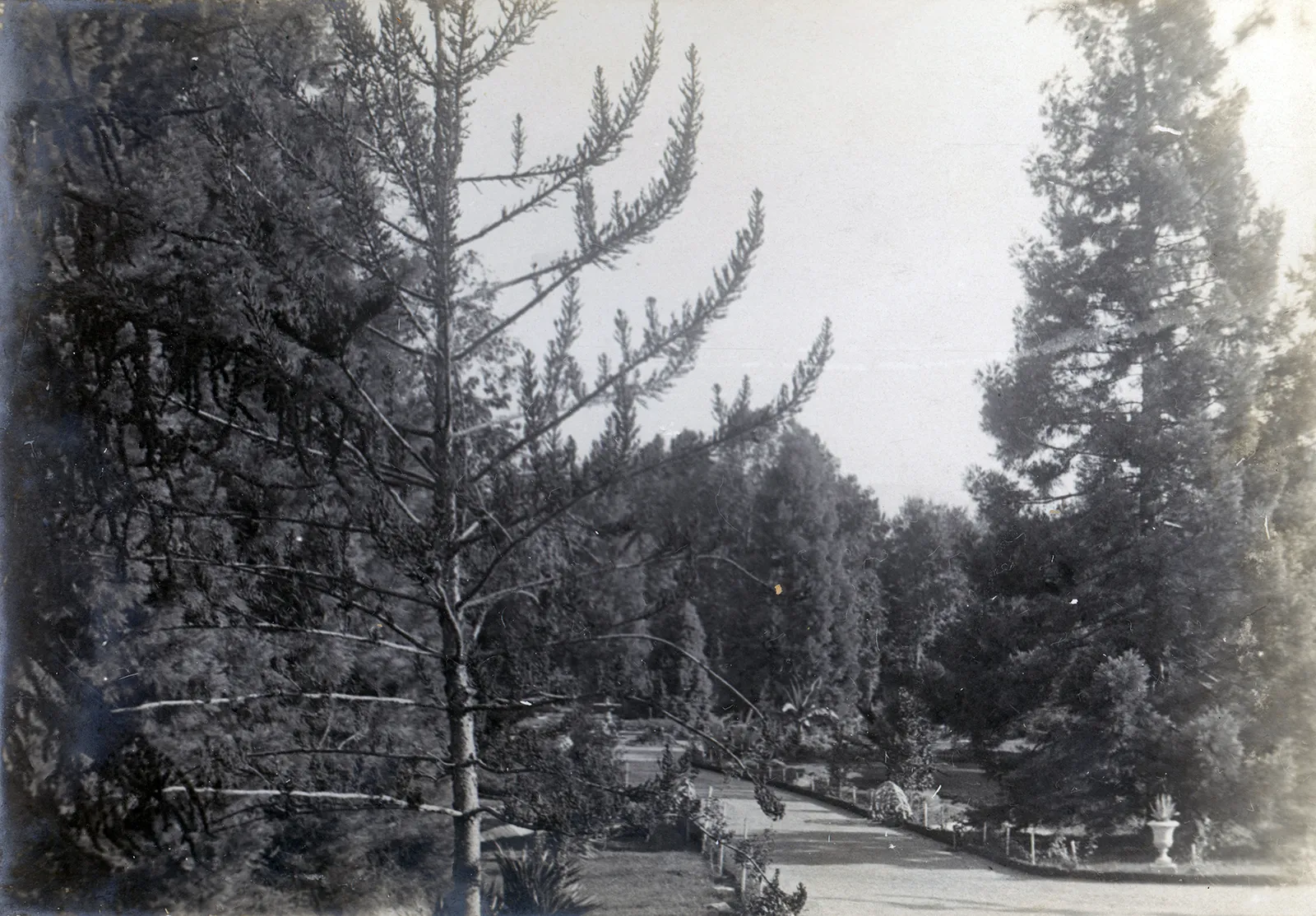 Parque Las Majadas de Pirque, CA 1901