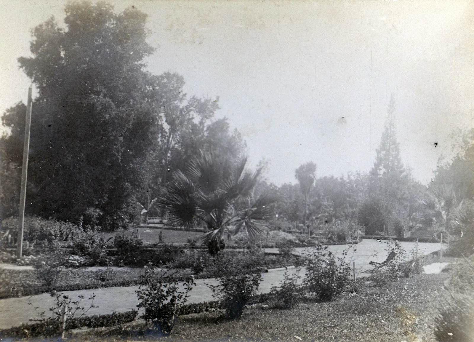 Parque Las Majadas de Pirque, CA 1901