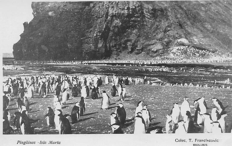 Pingüinos en Isla Marta, 1920