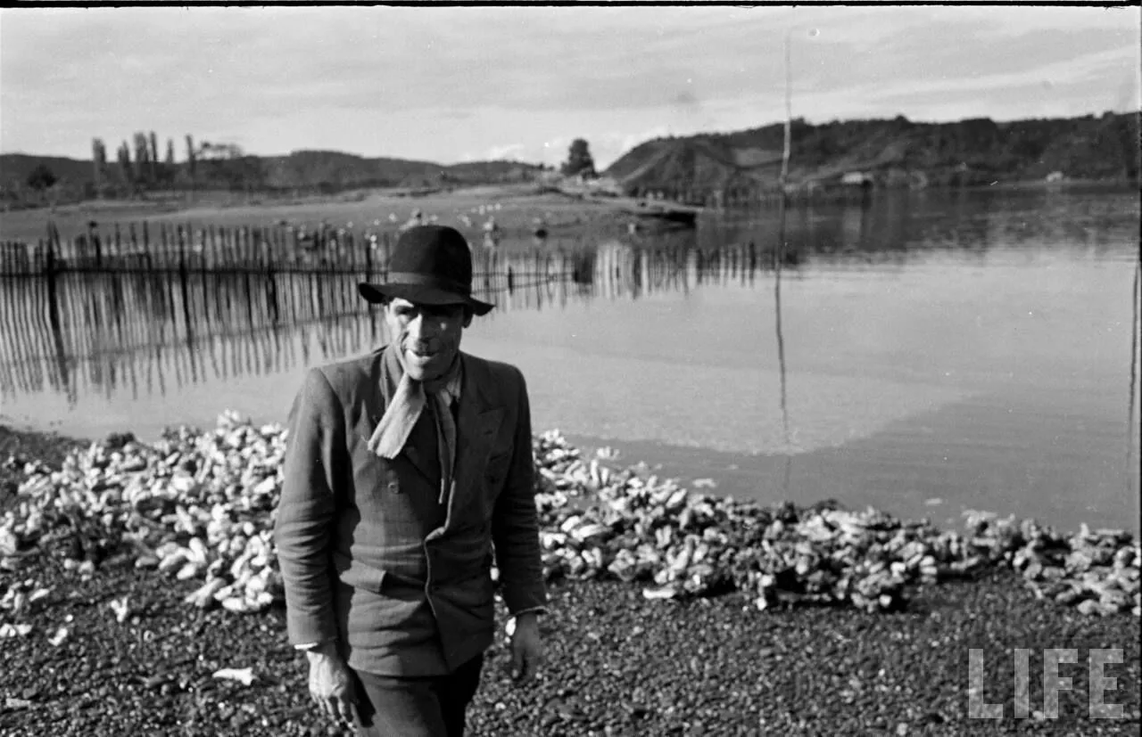 Pescador de Dalcahue, 1950