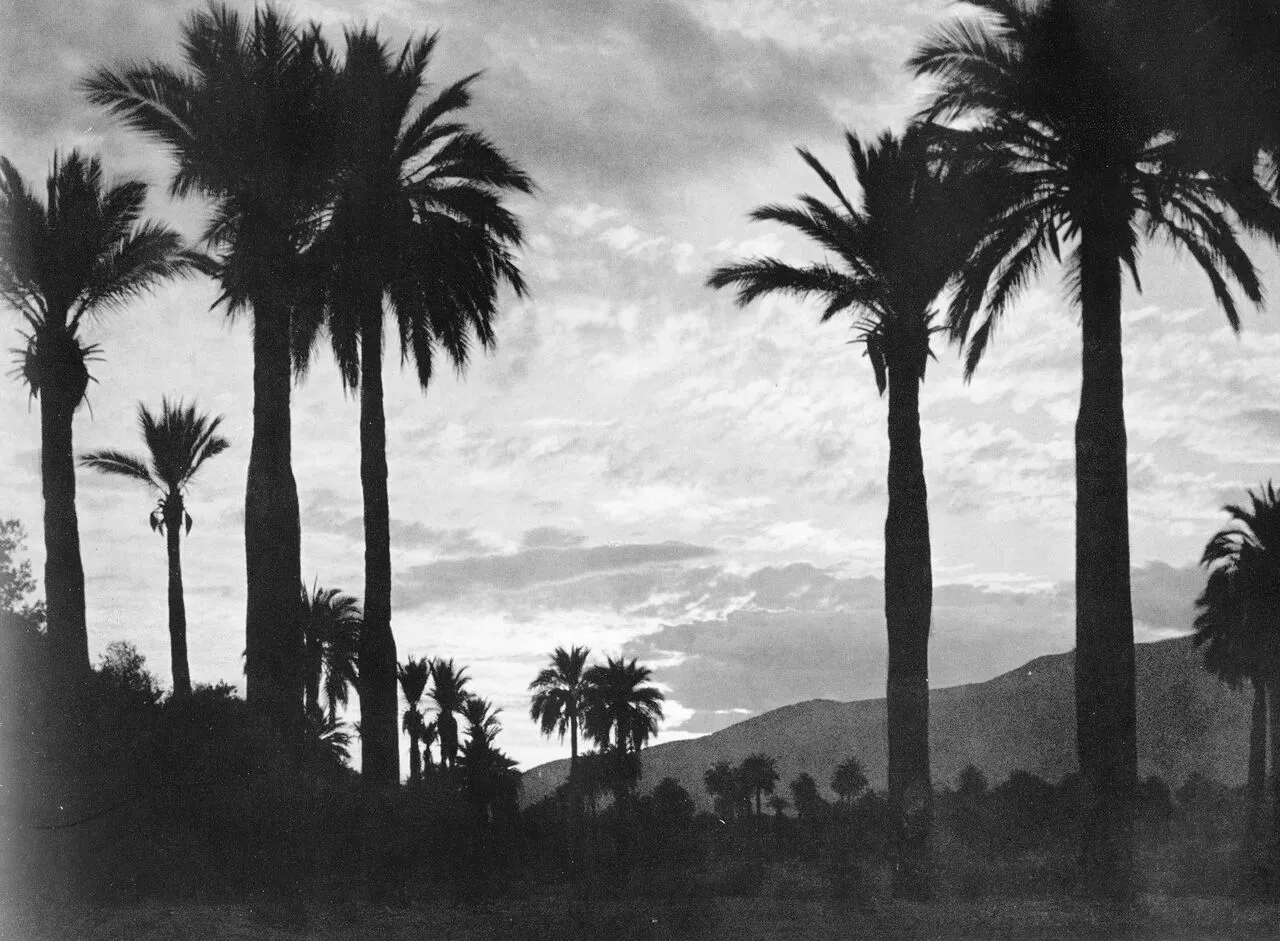 Cocalán, ca. 1959