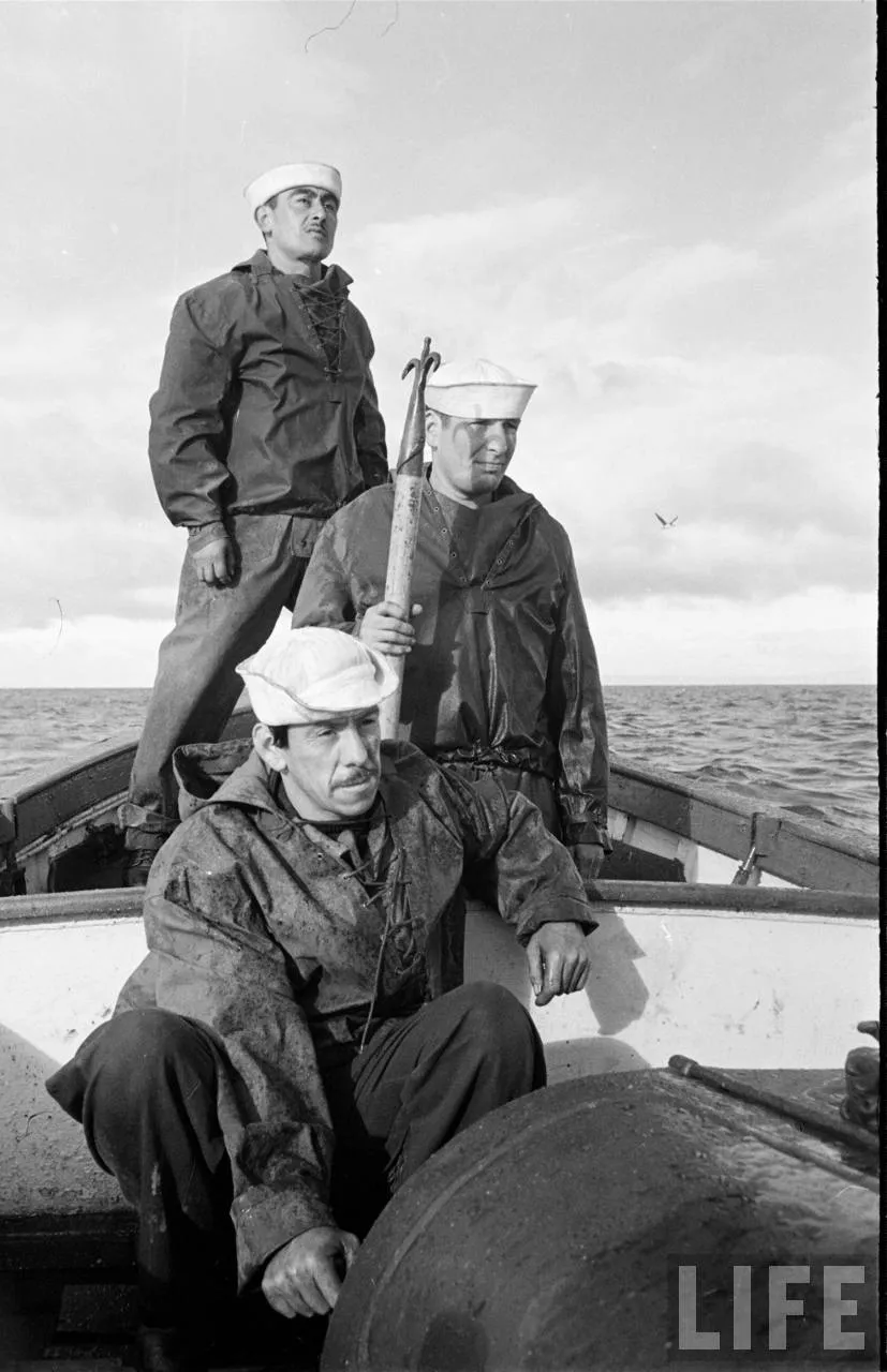 Marinos con Bichero, 1950