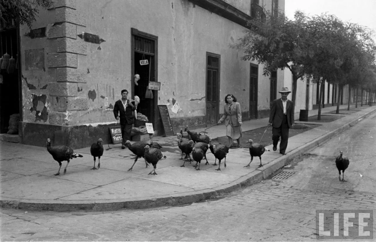 Vendedor de pavos en Barrio República, 1950