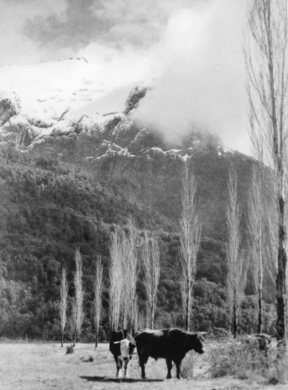 Peulla en 1959