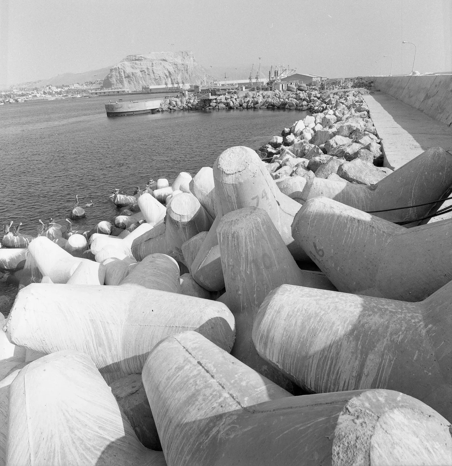 Puerto Arica-Tetrápodos en 1969
