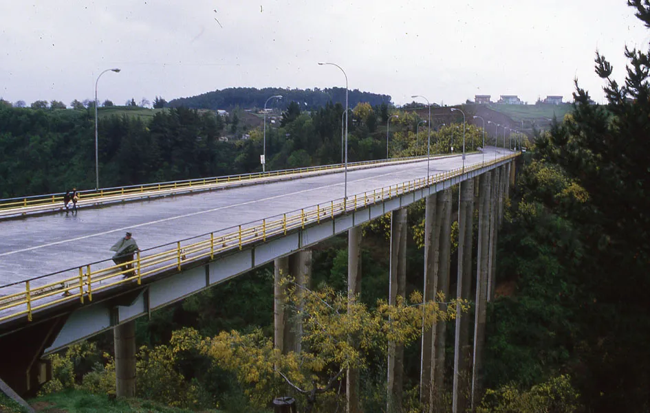 Puente Malleco, 1989