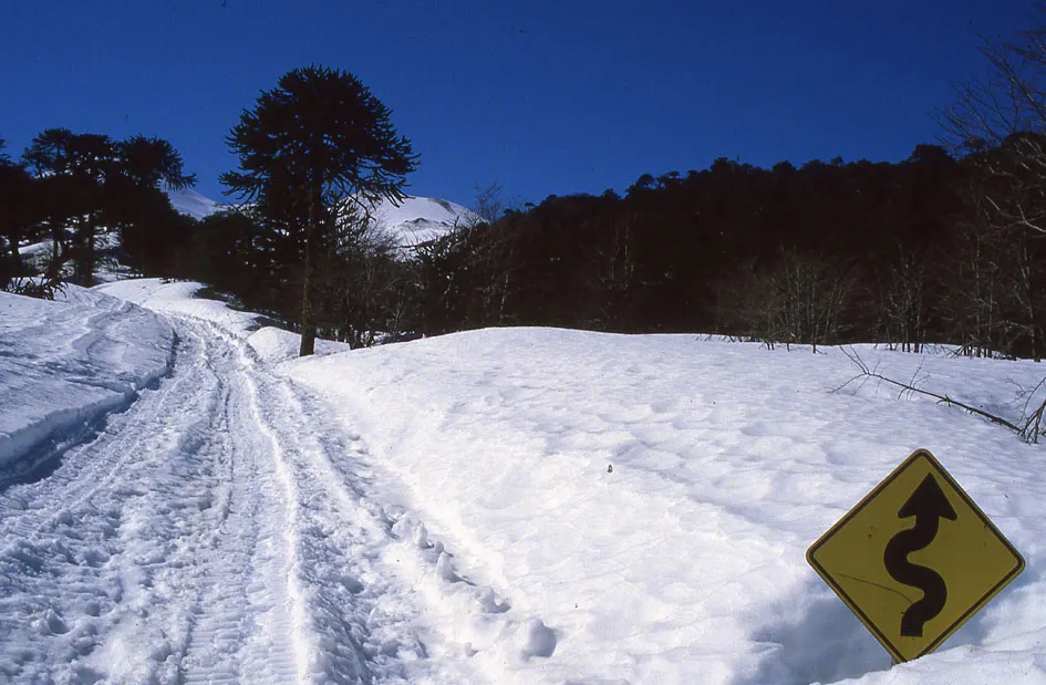 Camino a Llaima, 1986