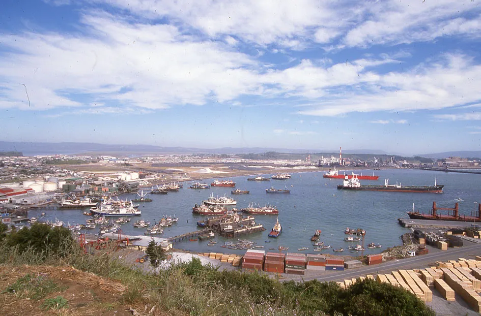 Puerto San Vicente, 1995