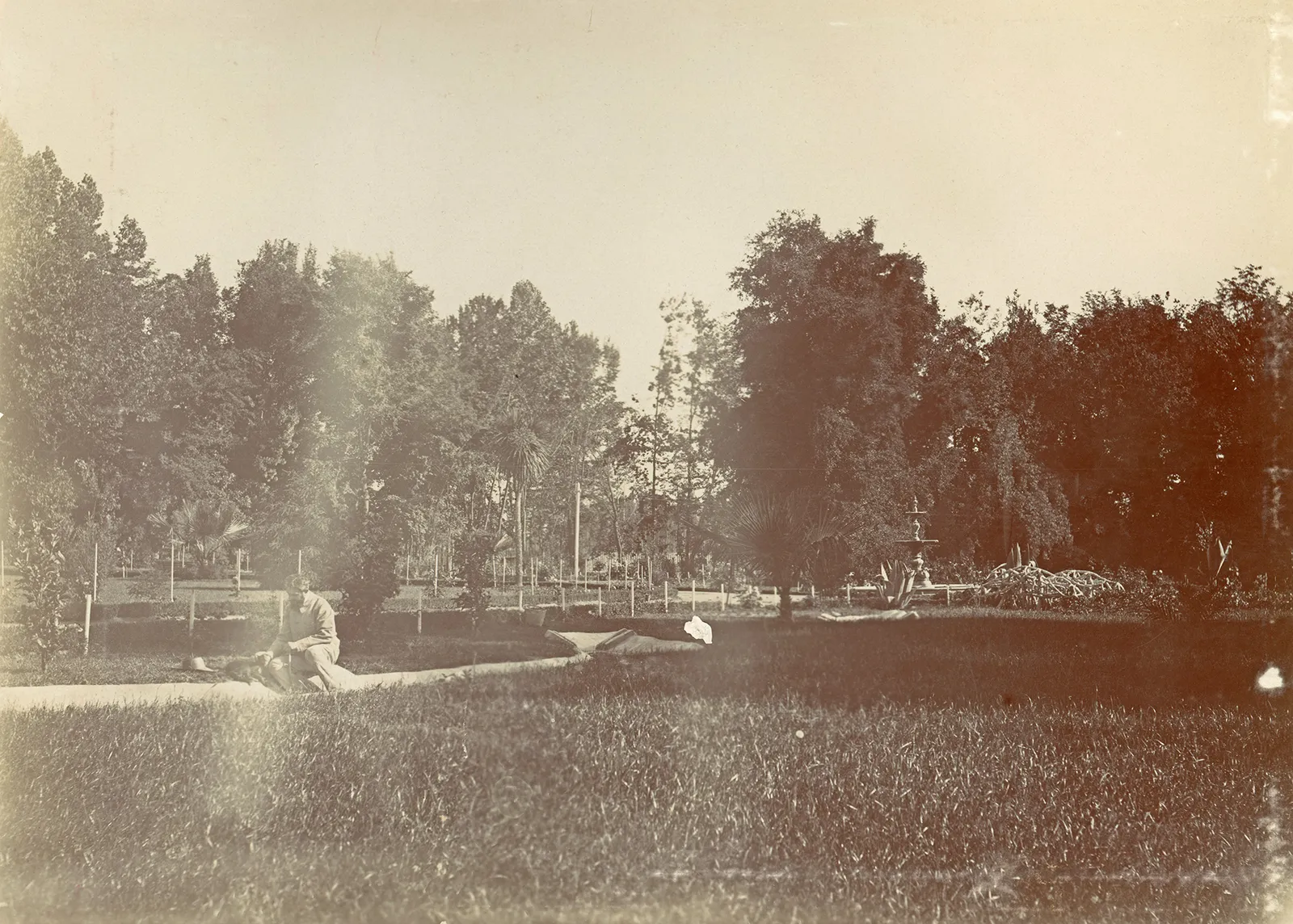 Jardines en algún lugar de la zona central, 1901