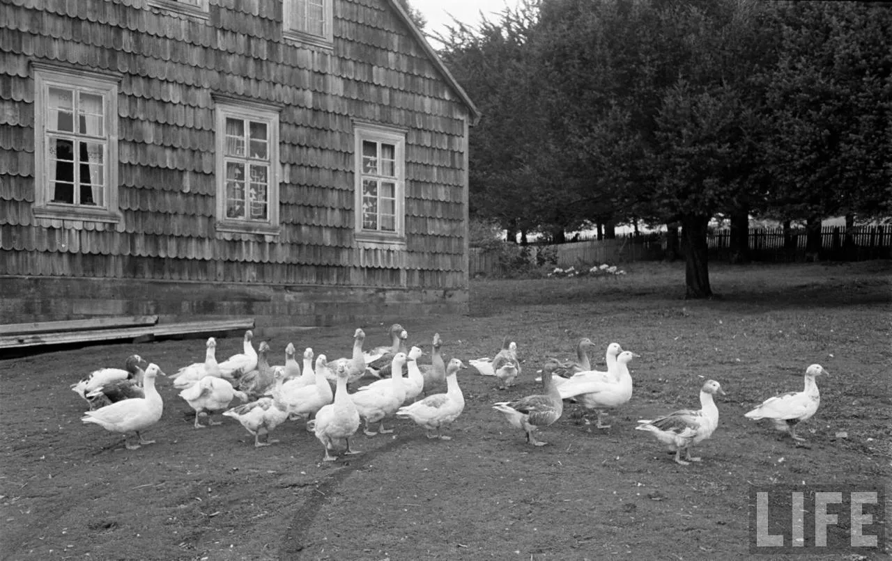 Casa Sur de Chile, 1950