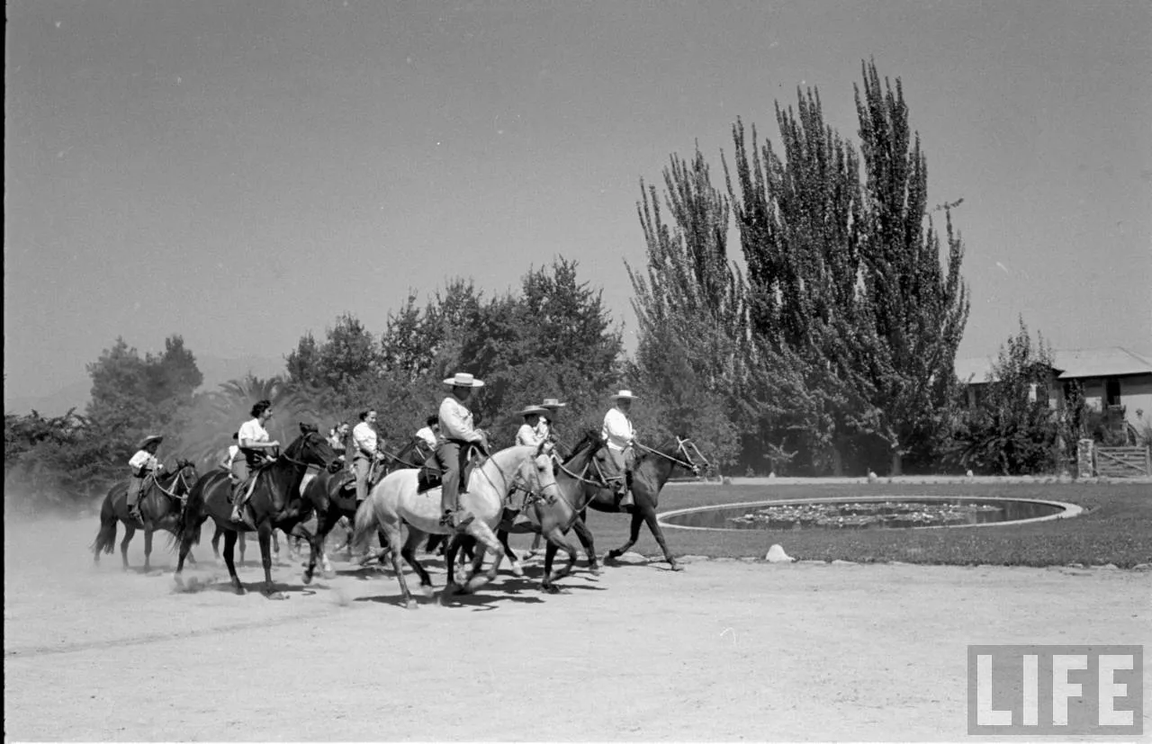 Zona central, 1950