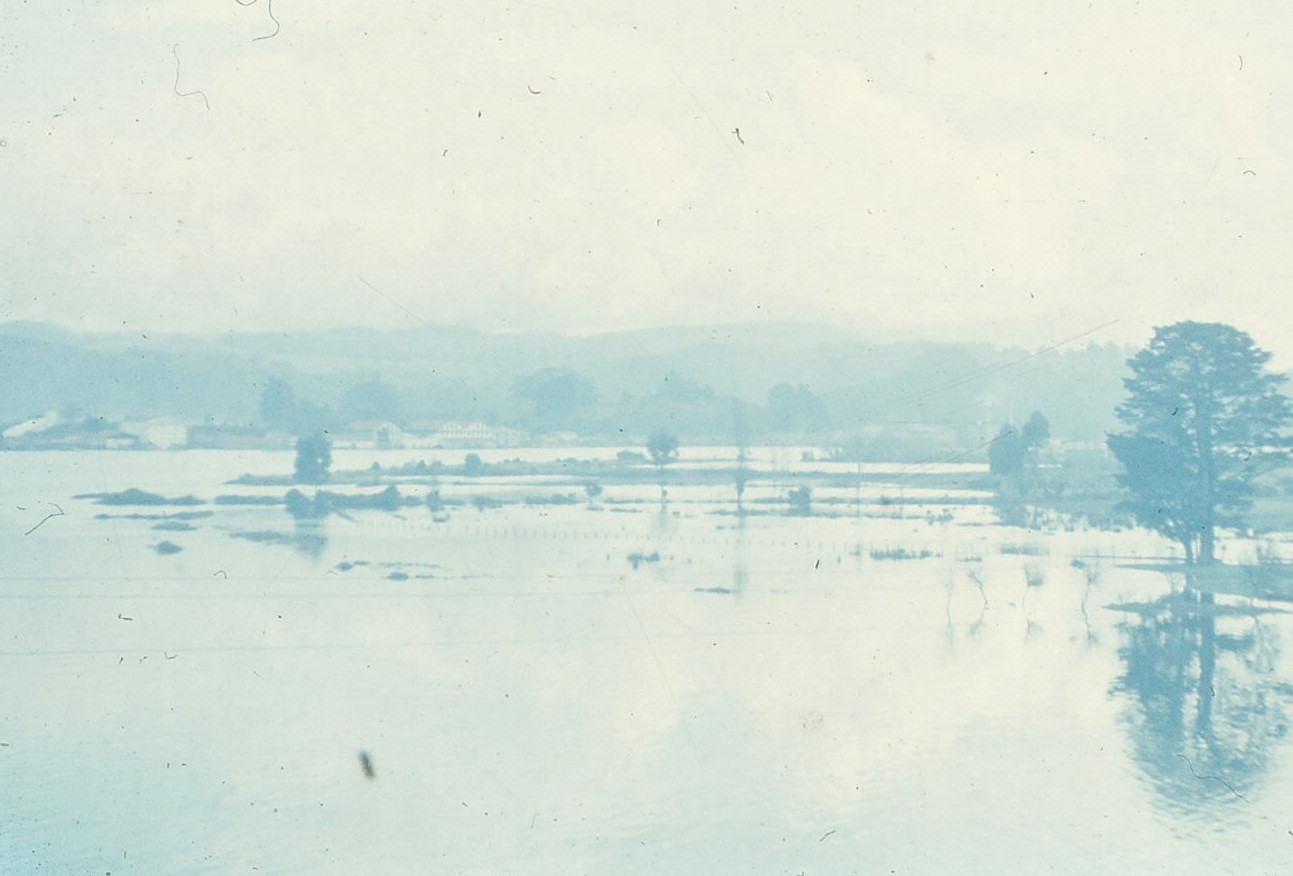 Terremoto Valdivia, 1960