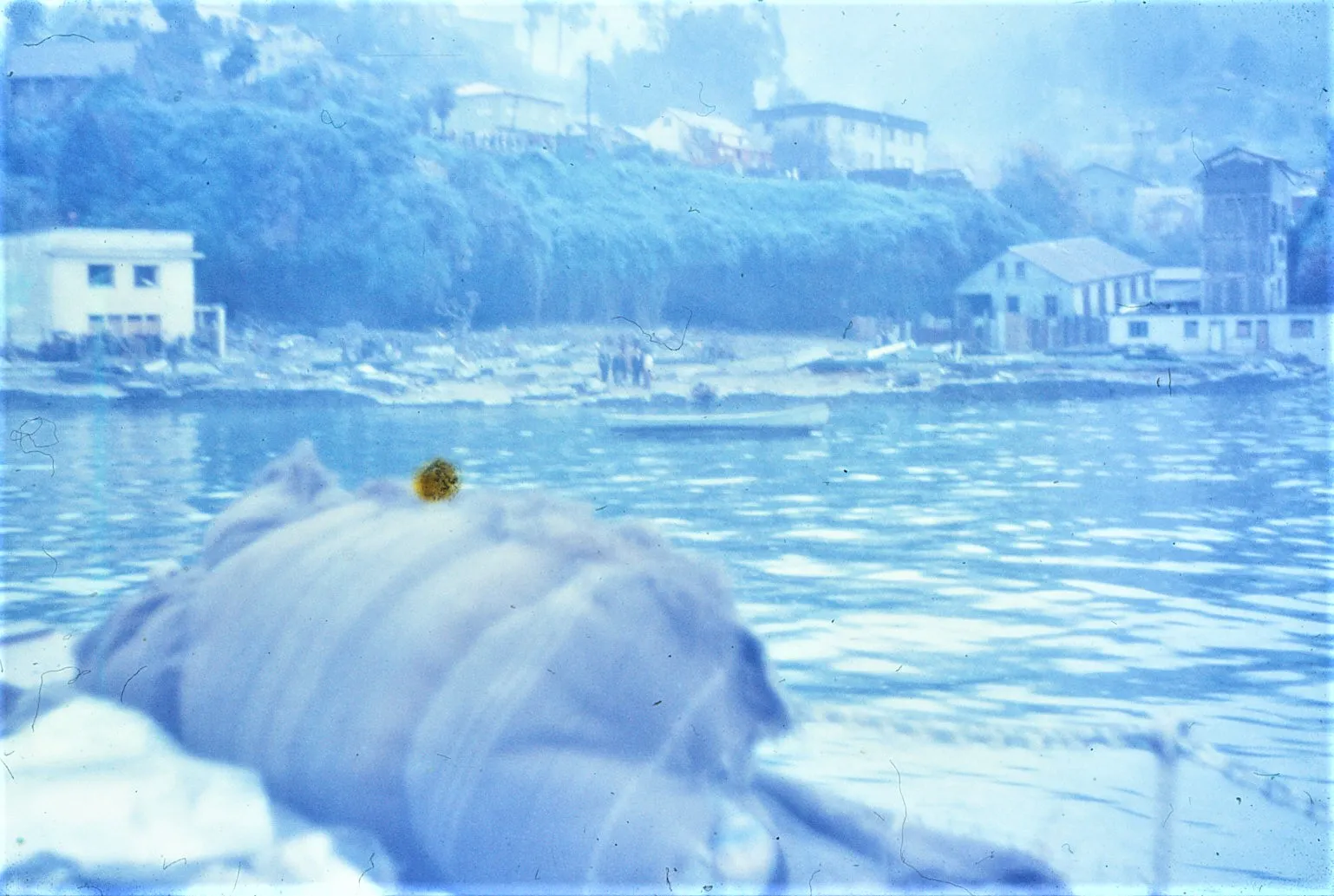 Terremoto Corral, 1960