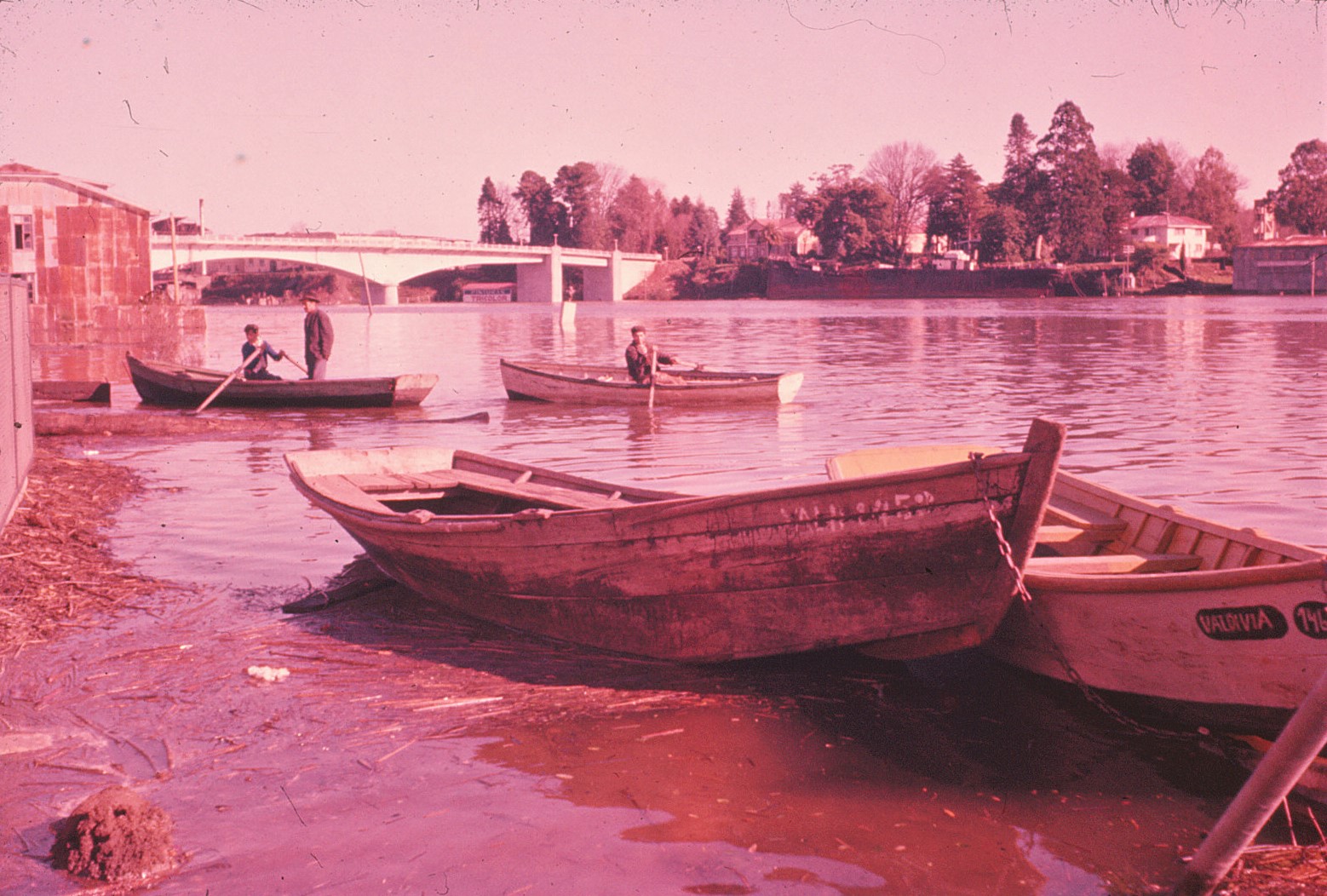 Post Terremoto de Valdivia en 1960
