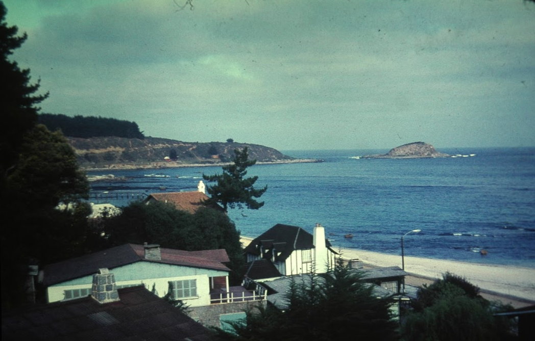 Algarrobo, Isla los Pingüinos, 1969