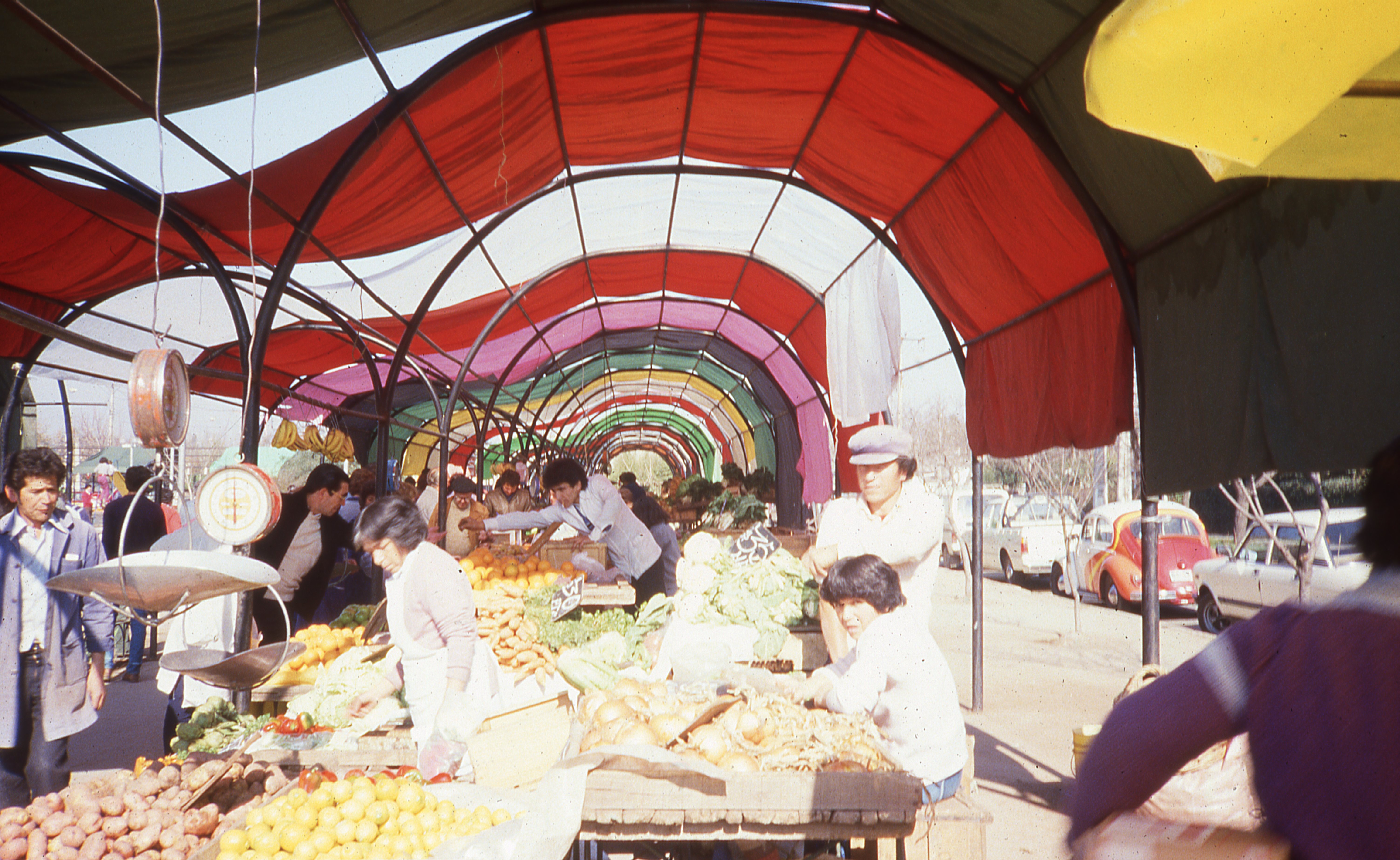 Feria, 1977