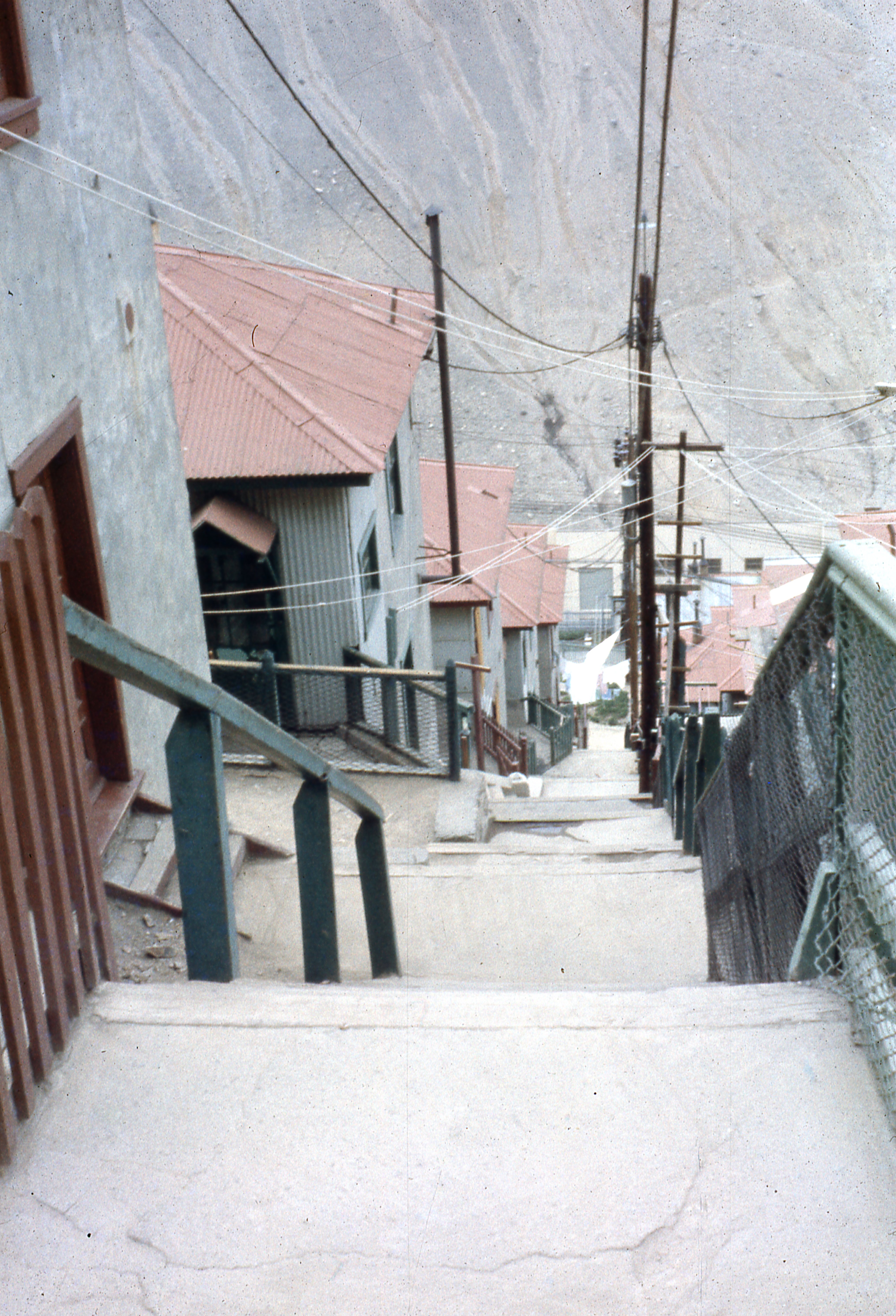 Sewell, 1955