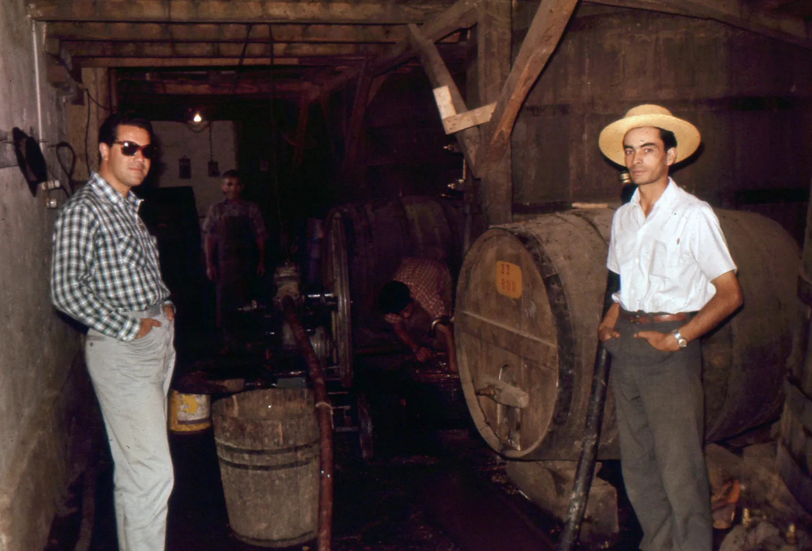 Bodega de Vinos Fundo La Punta, 1962