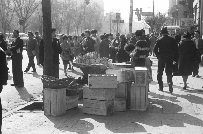 Vendedores de frutas, 1964