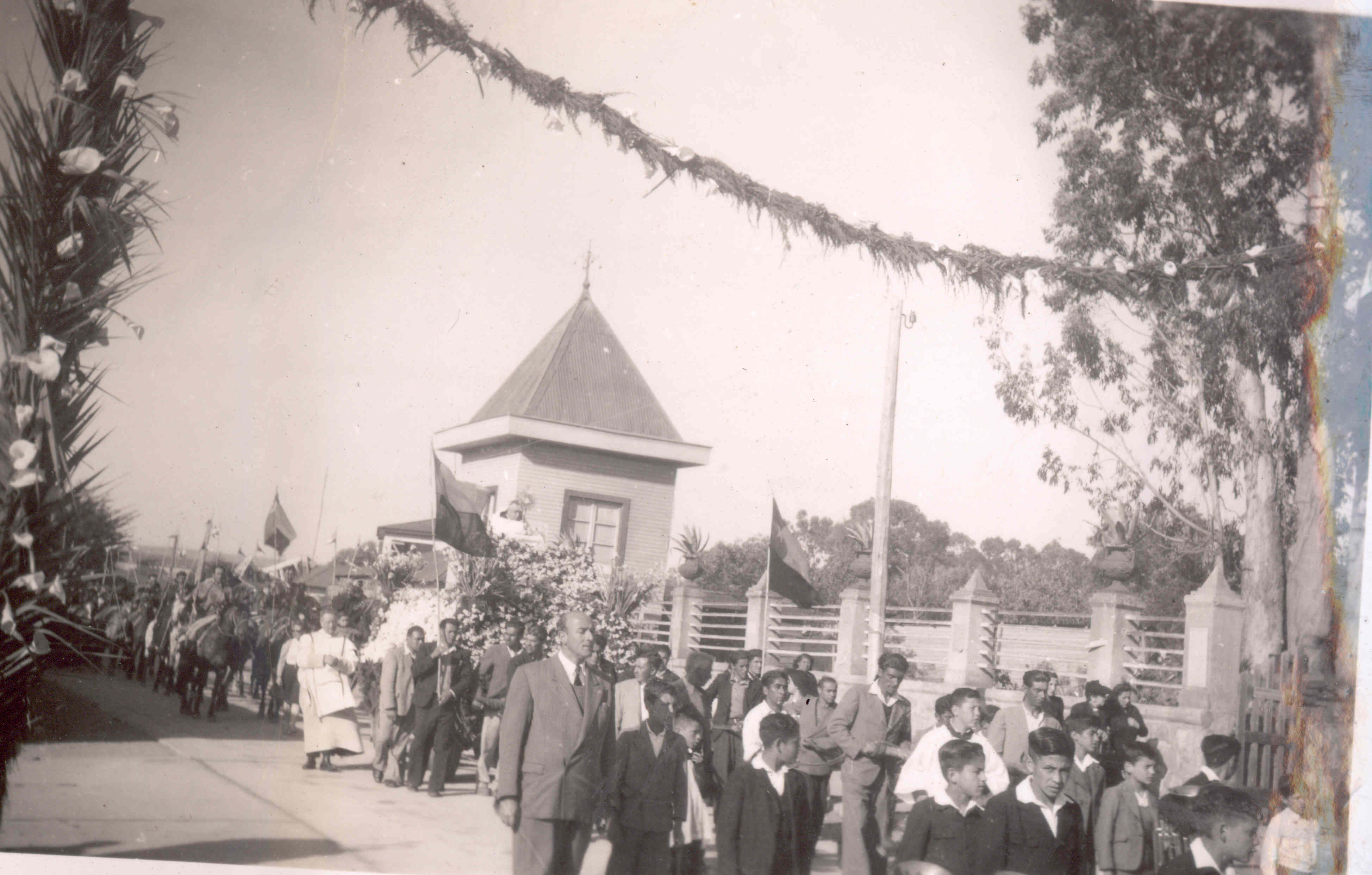 Algarrobo 1950
