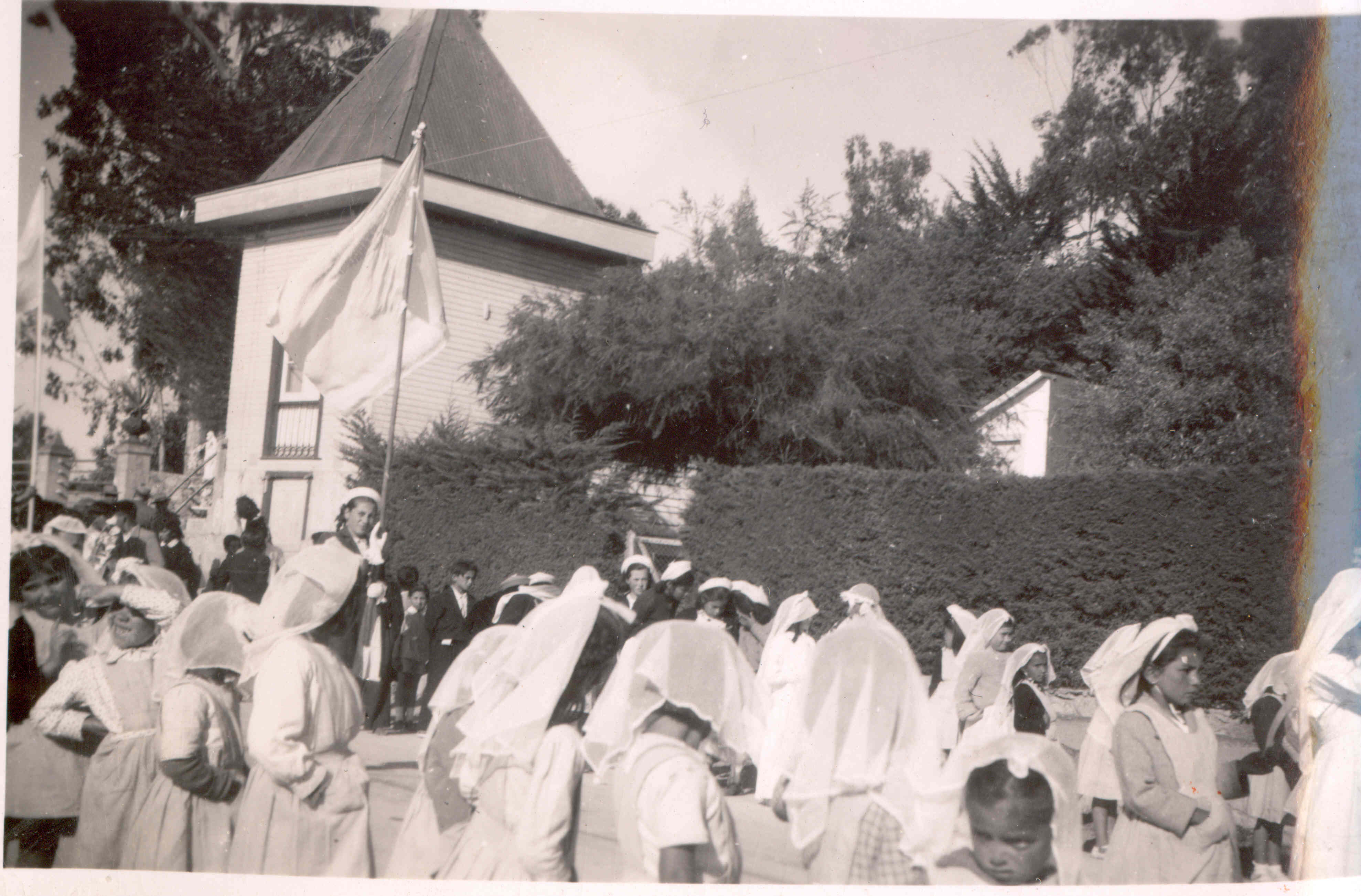 Algarrobo 1950