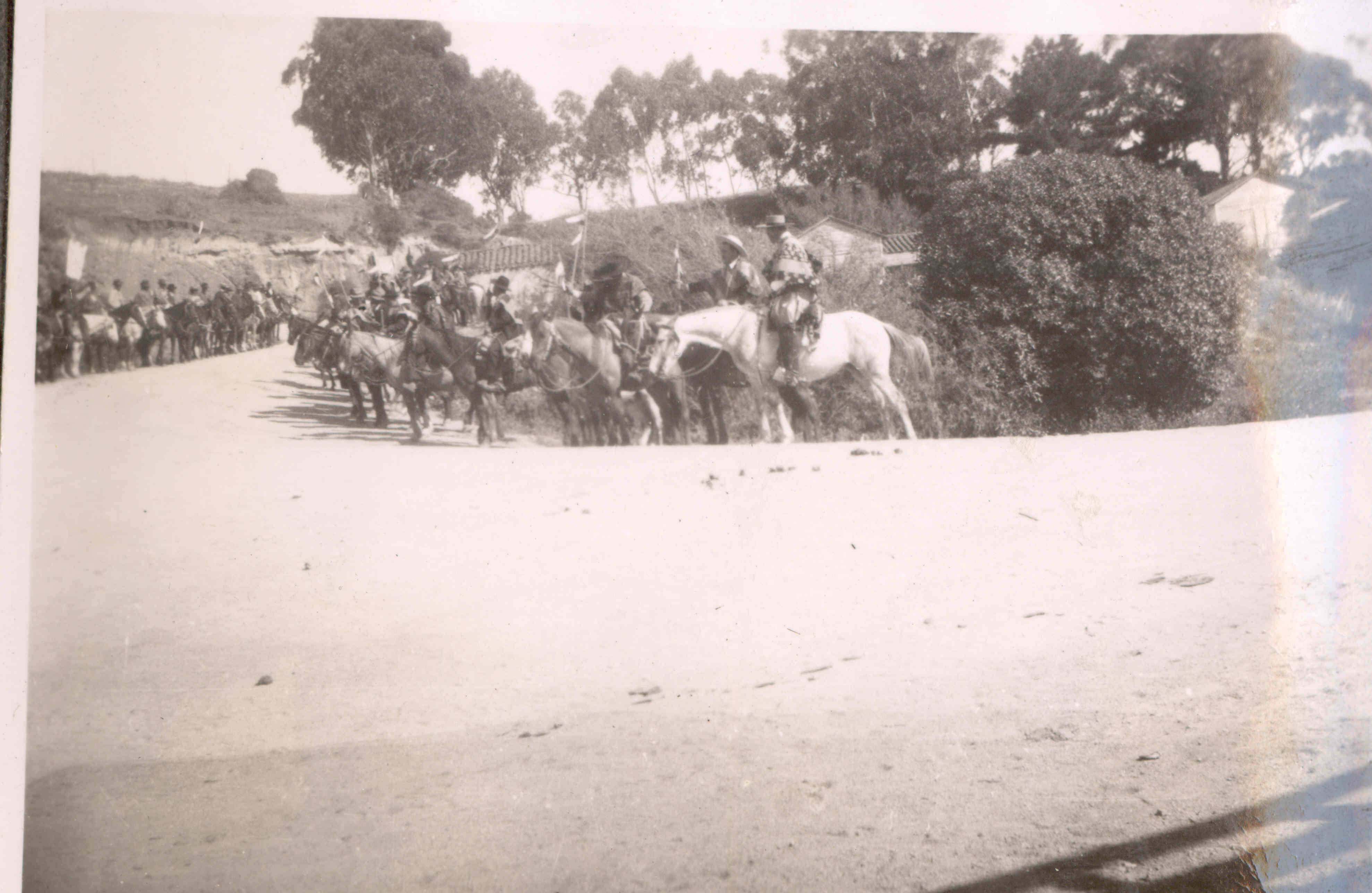 Algarrobo 1950