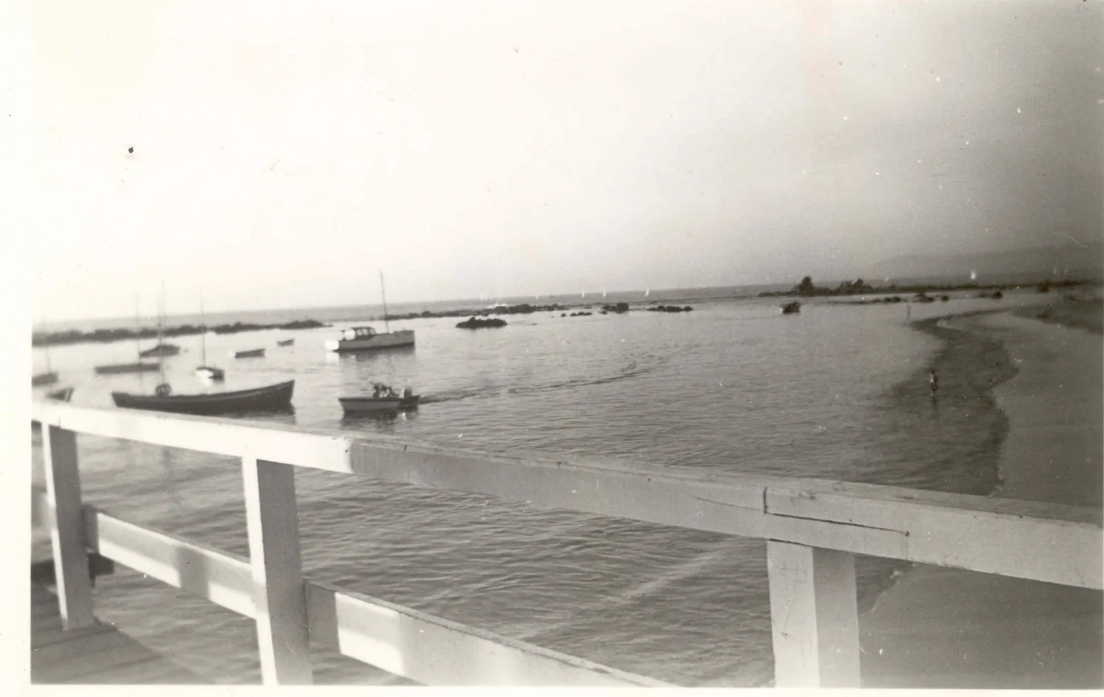 Algarrobo 1950