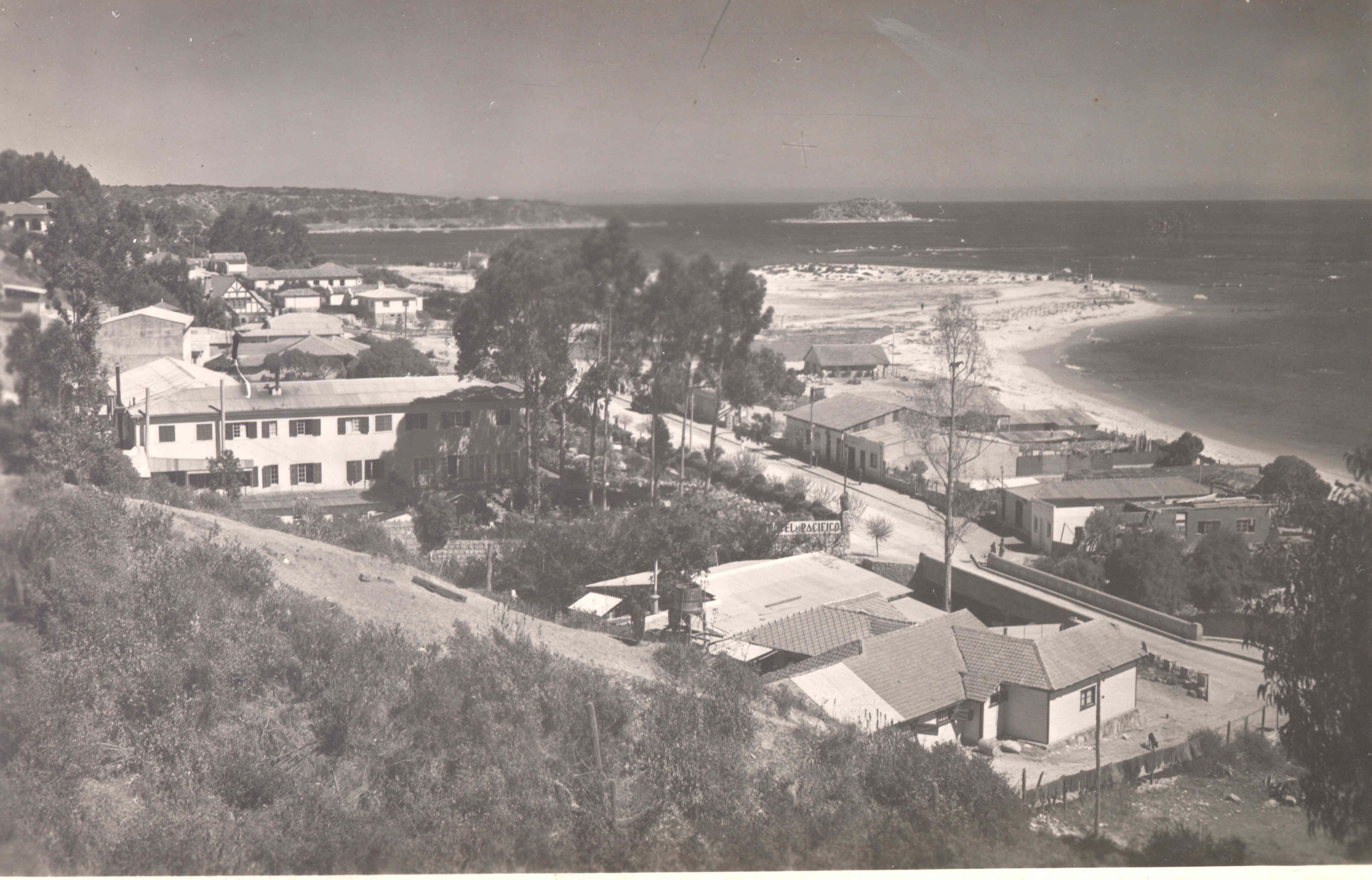 Algarrobo 1950