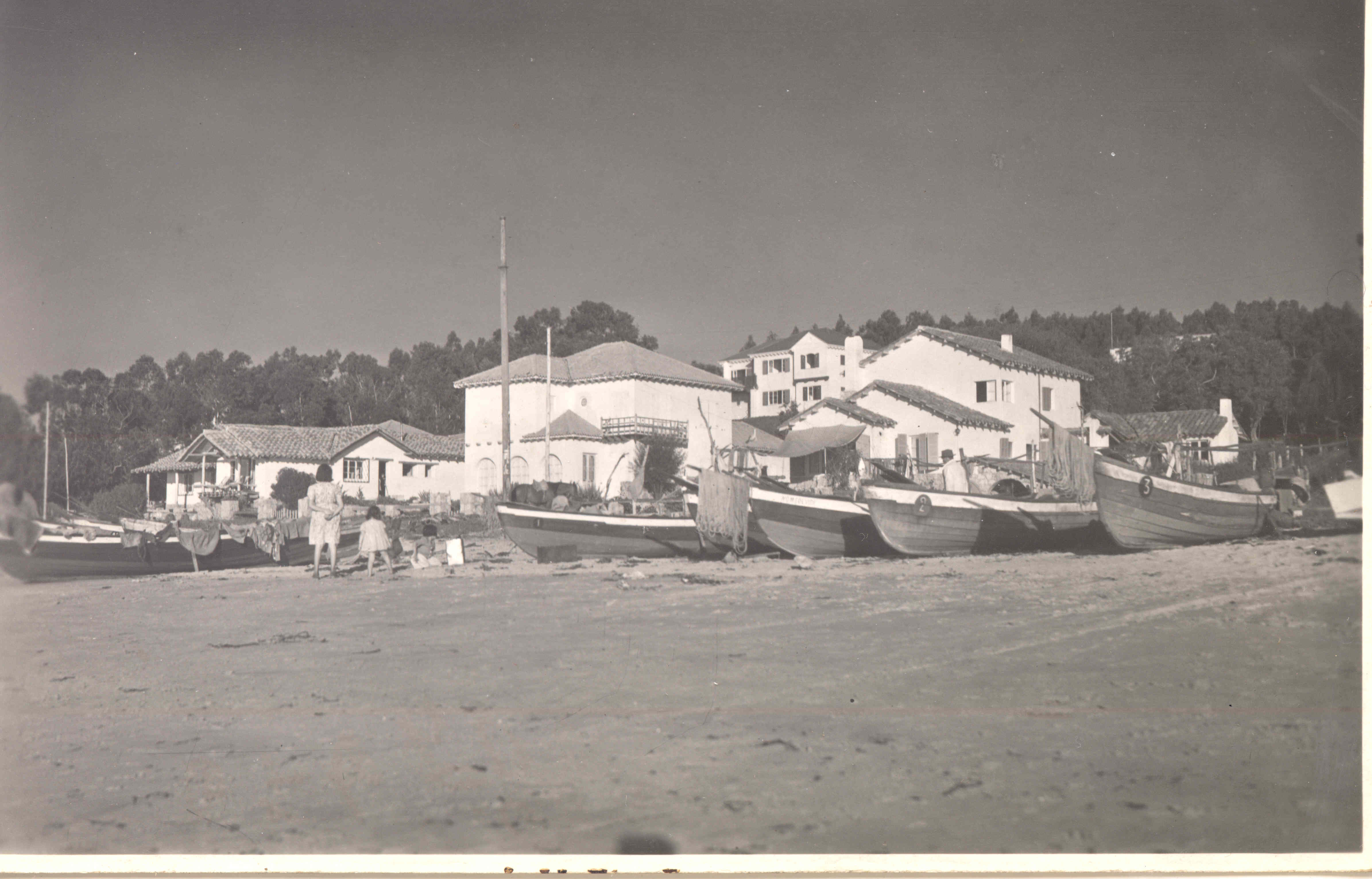 Algarrobo 1950
