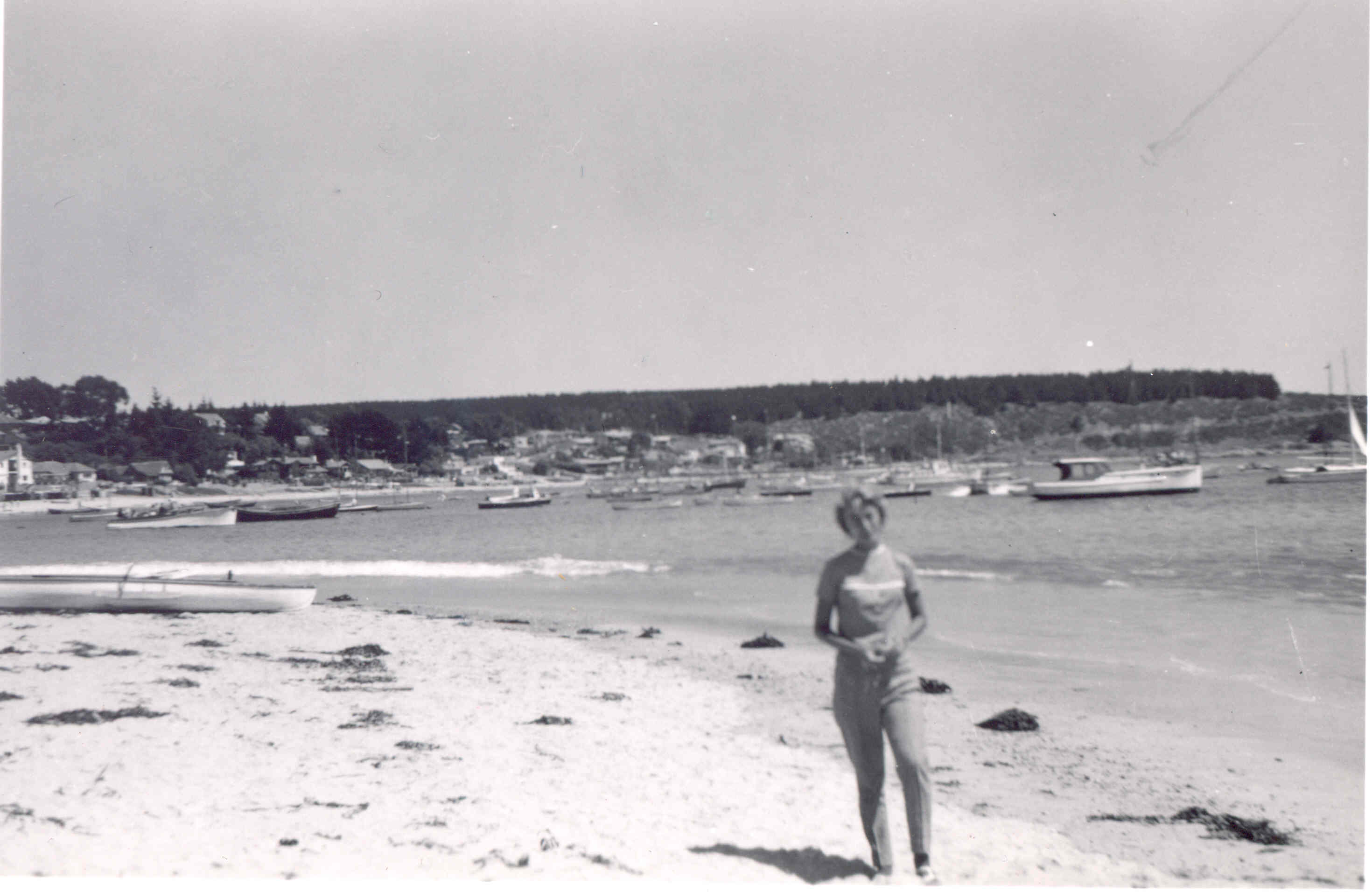 Algarrobo 1960