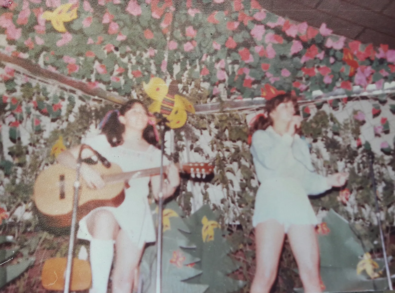 Semana del colegio NSDP, 1981