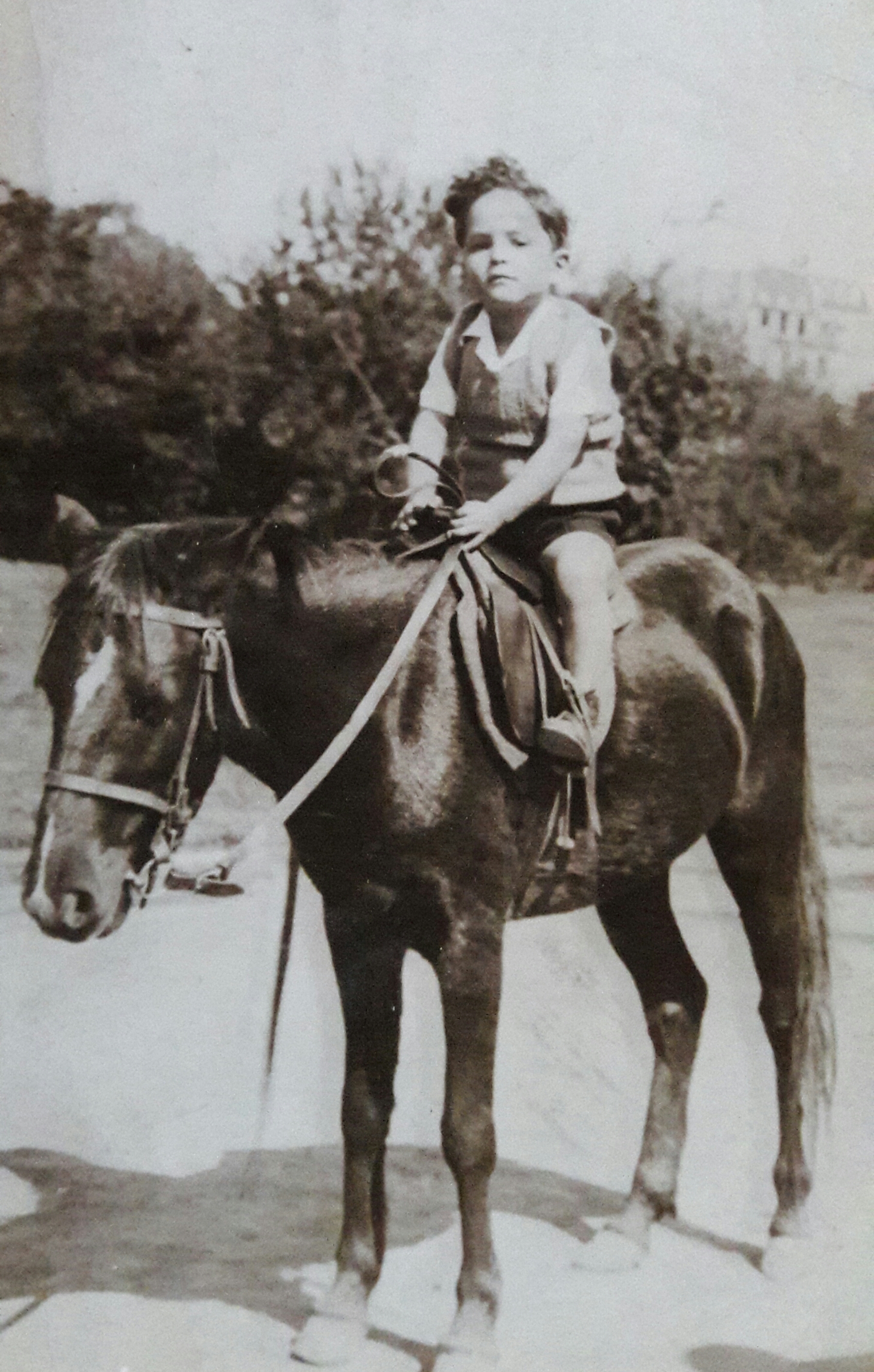 Parque Forestal, 1923