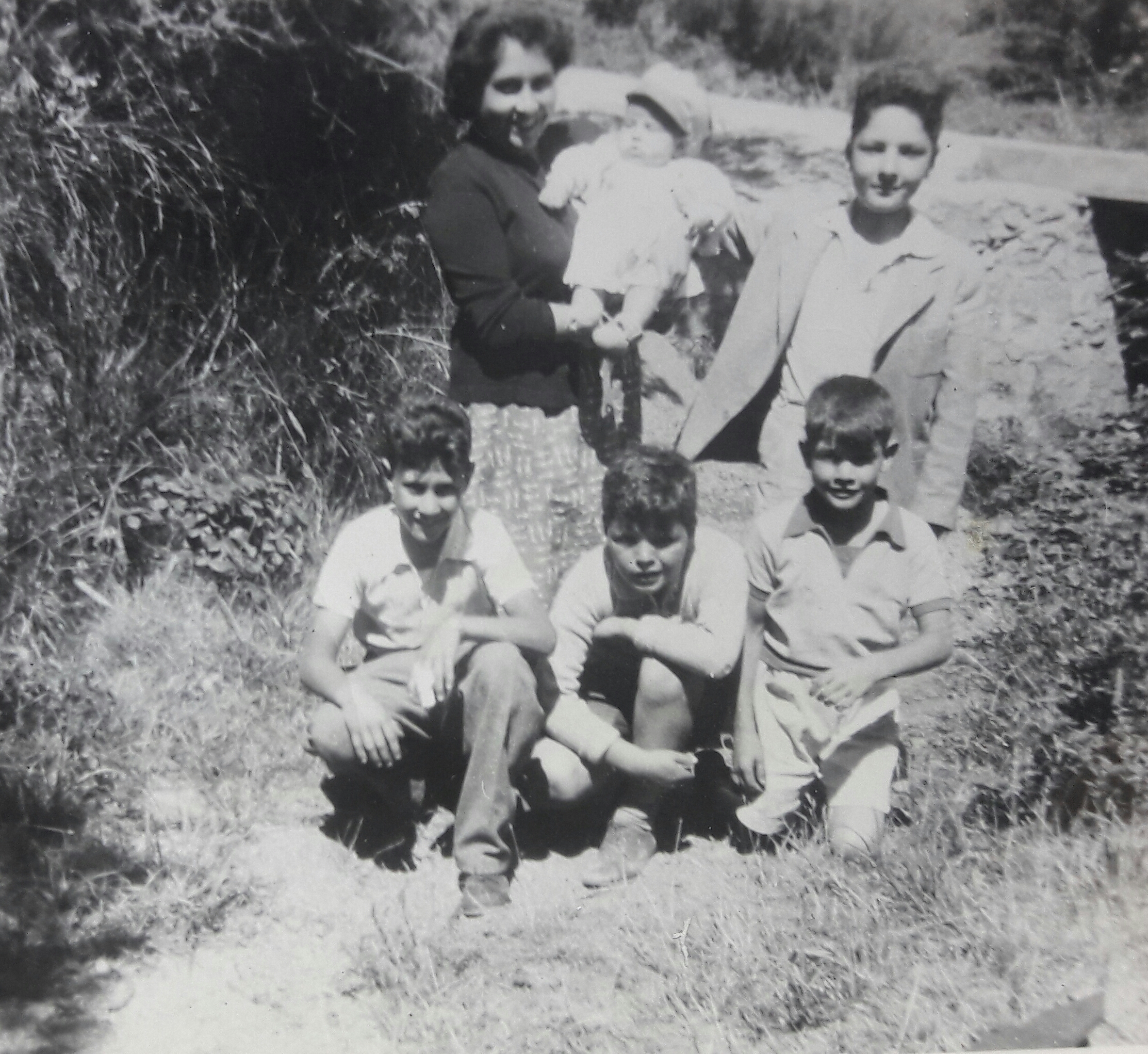 Campo en Santago, 1957