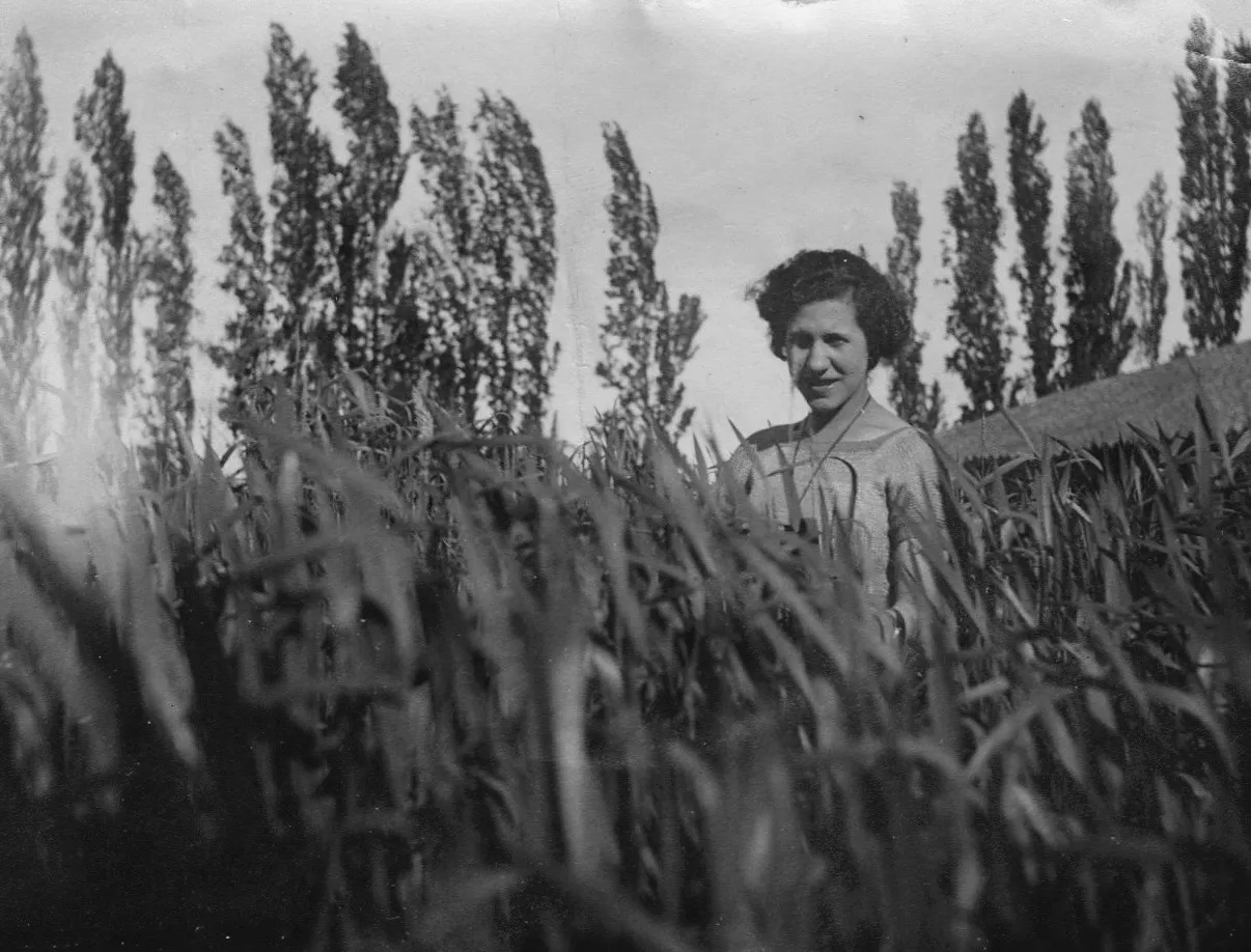 Chillán en 1920