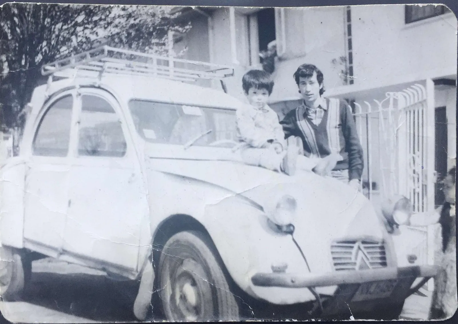 Citroneta en 1983
