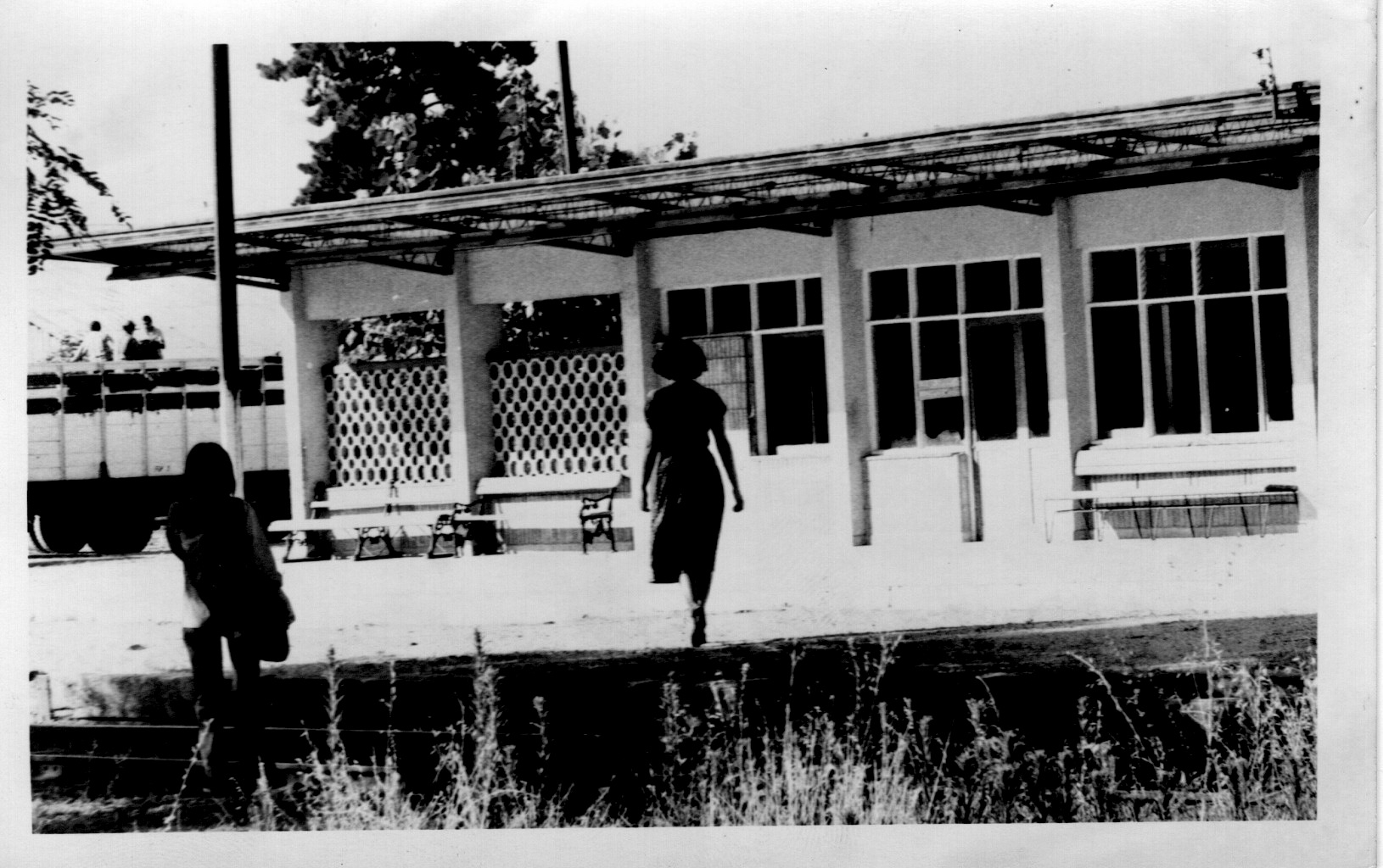 Anden Estación Paniahue,Santa Cruz, 1973