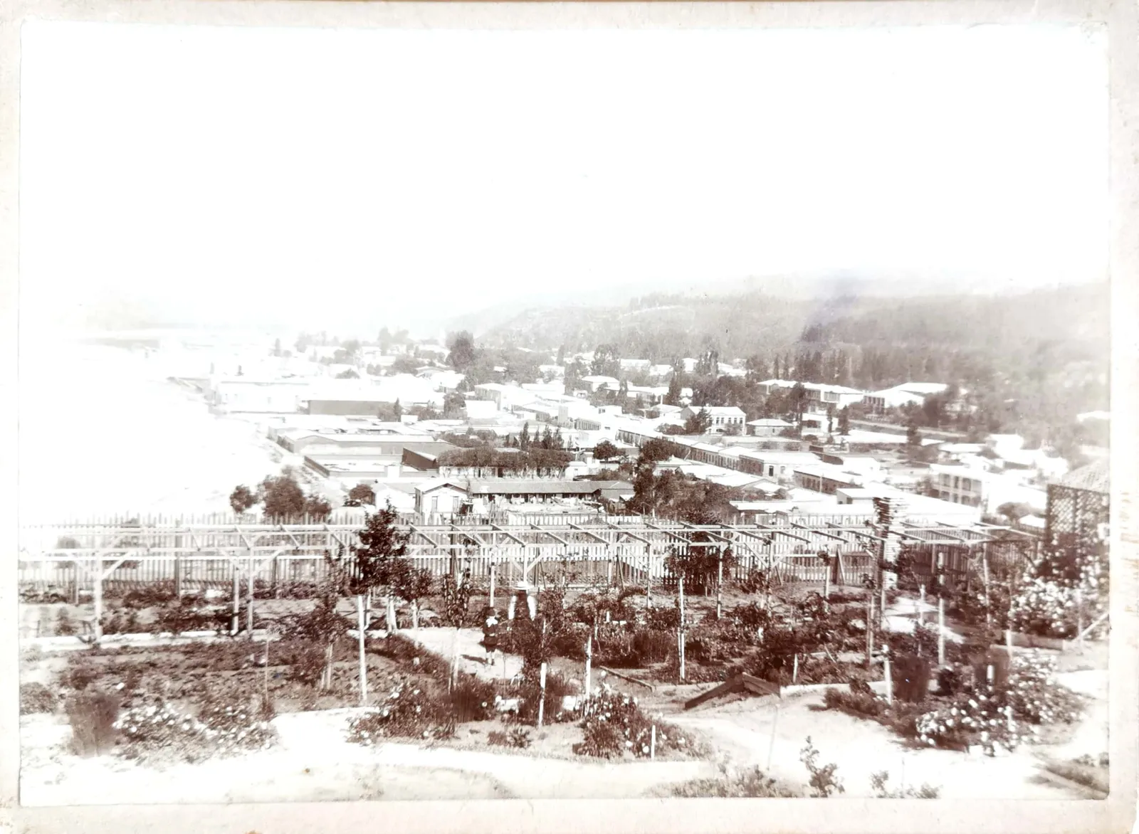 Viña del Mar desde Cerro Castillo, 1904