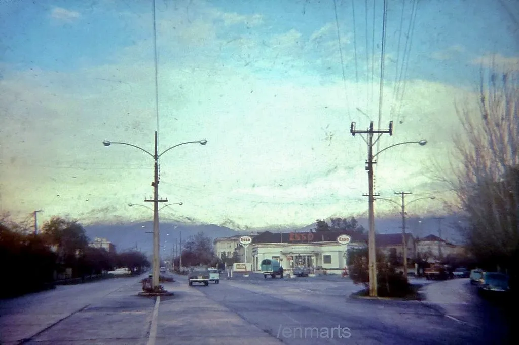 Isidora Goyenechea/El Bosque, 1961
