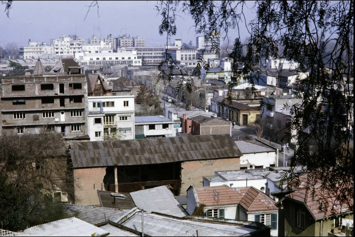 Barrio Bellavista, 1960