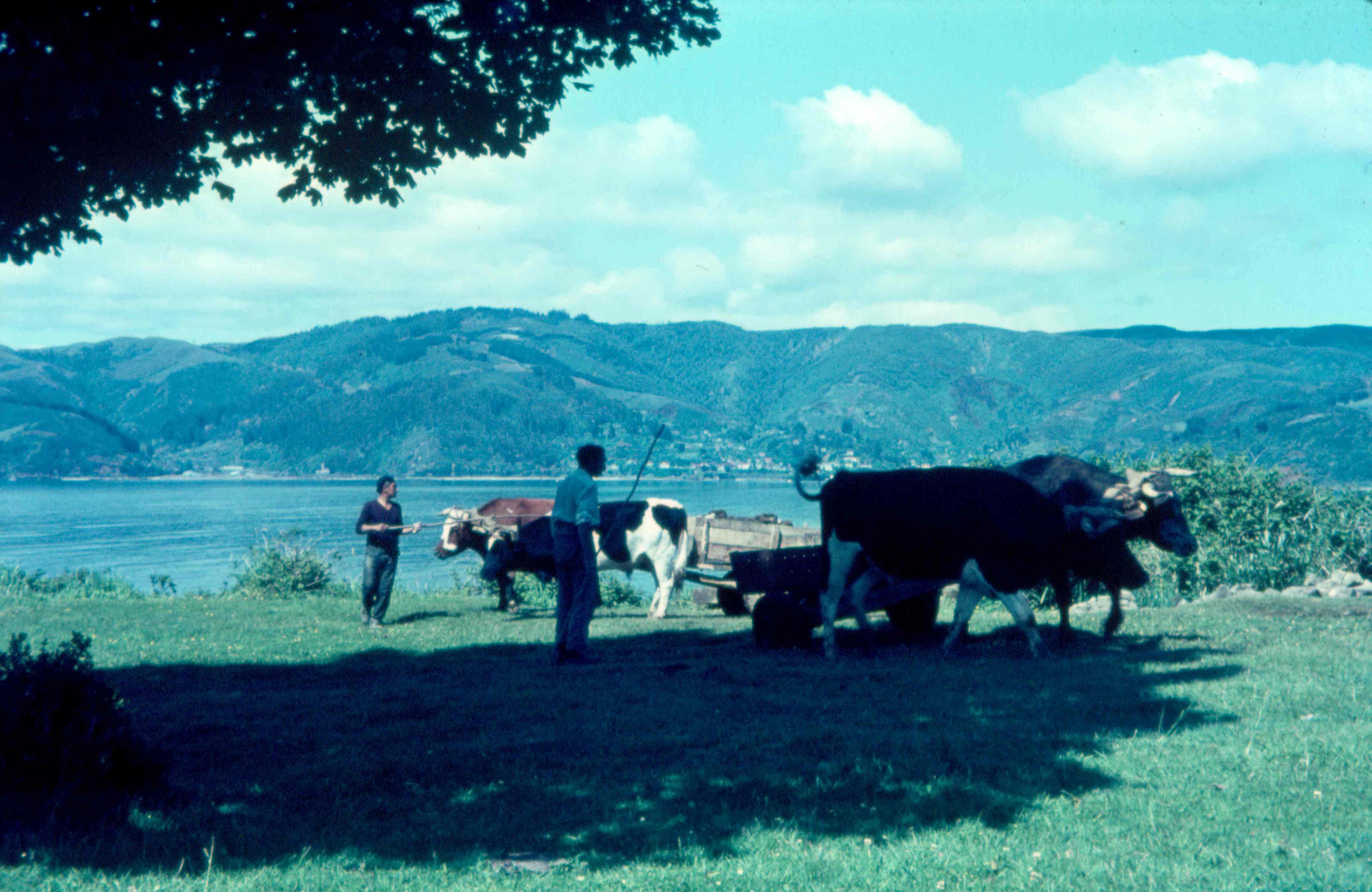 Sur de Chile 1970
