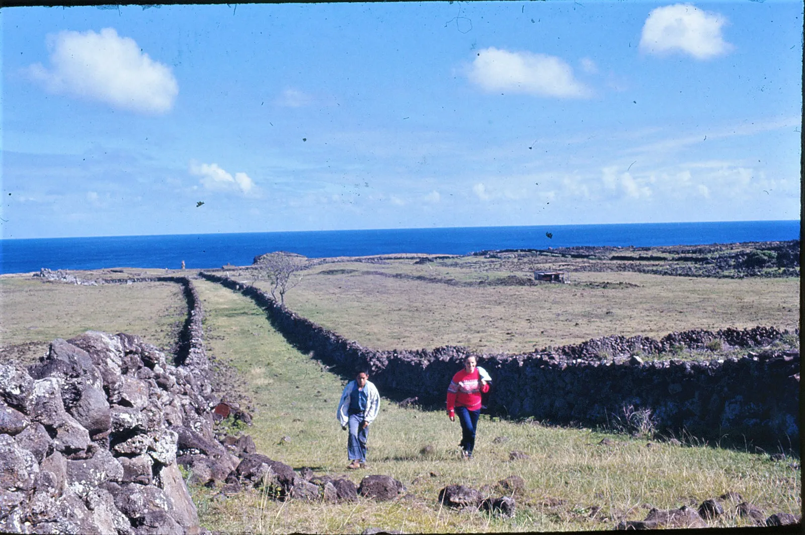 Camino de Rapa Nui 1973