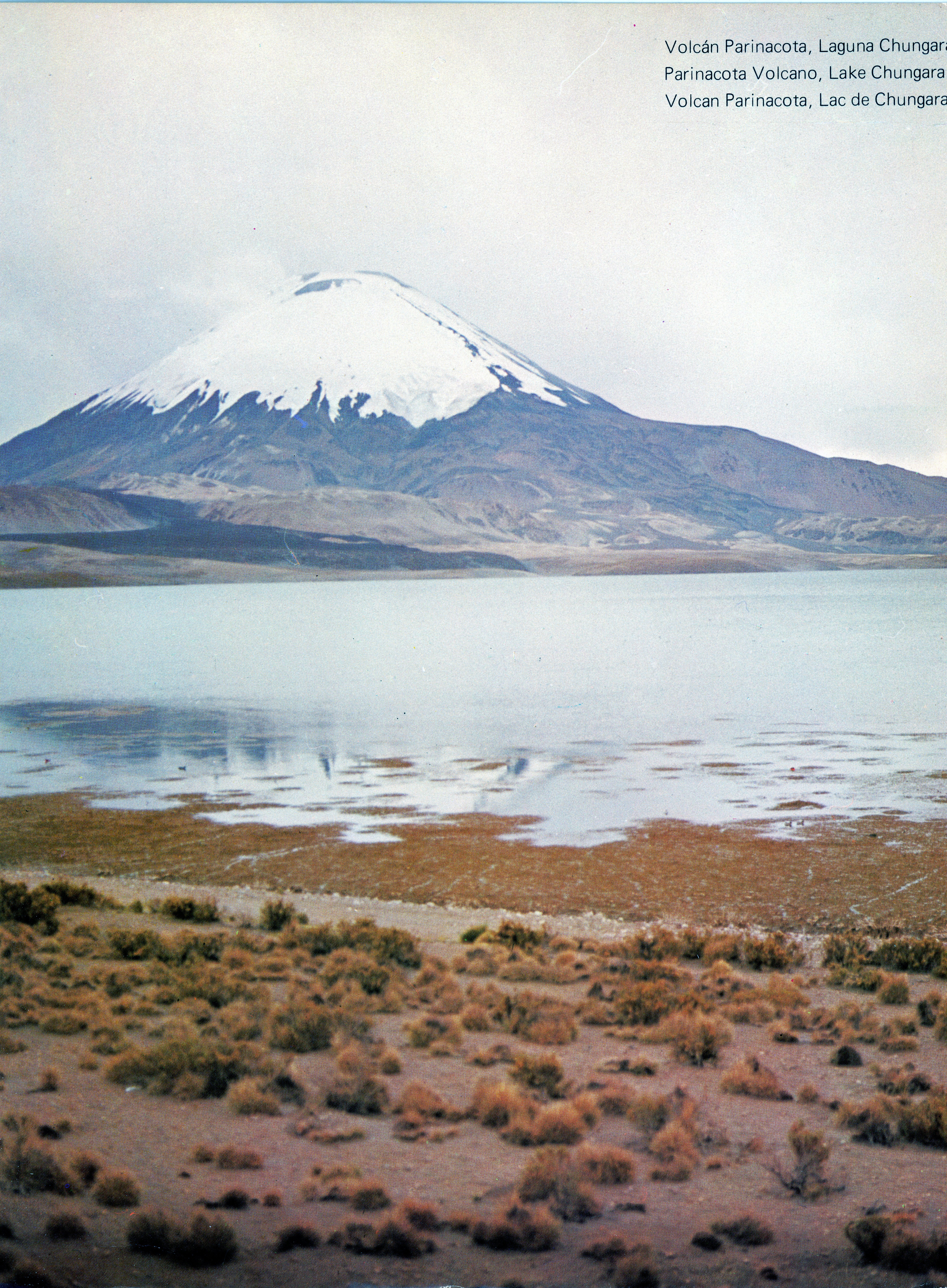 Chungará en 1980