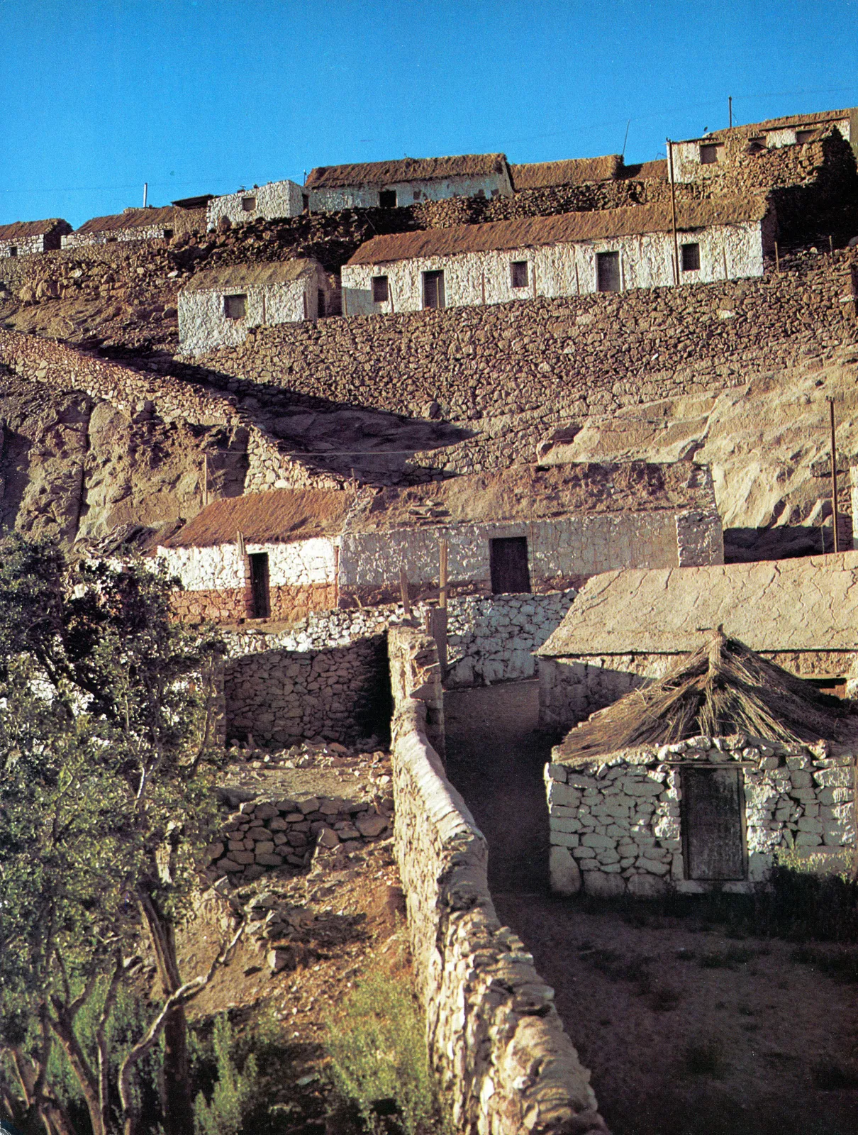 Ayquina, 1980