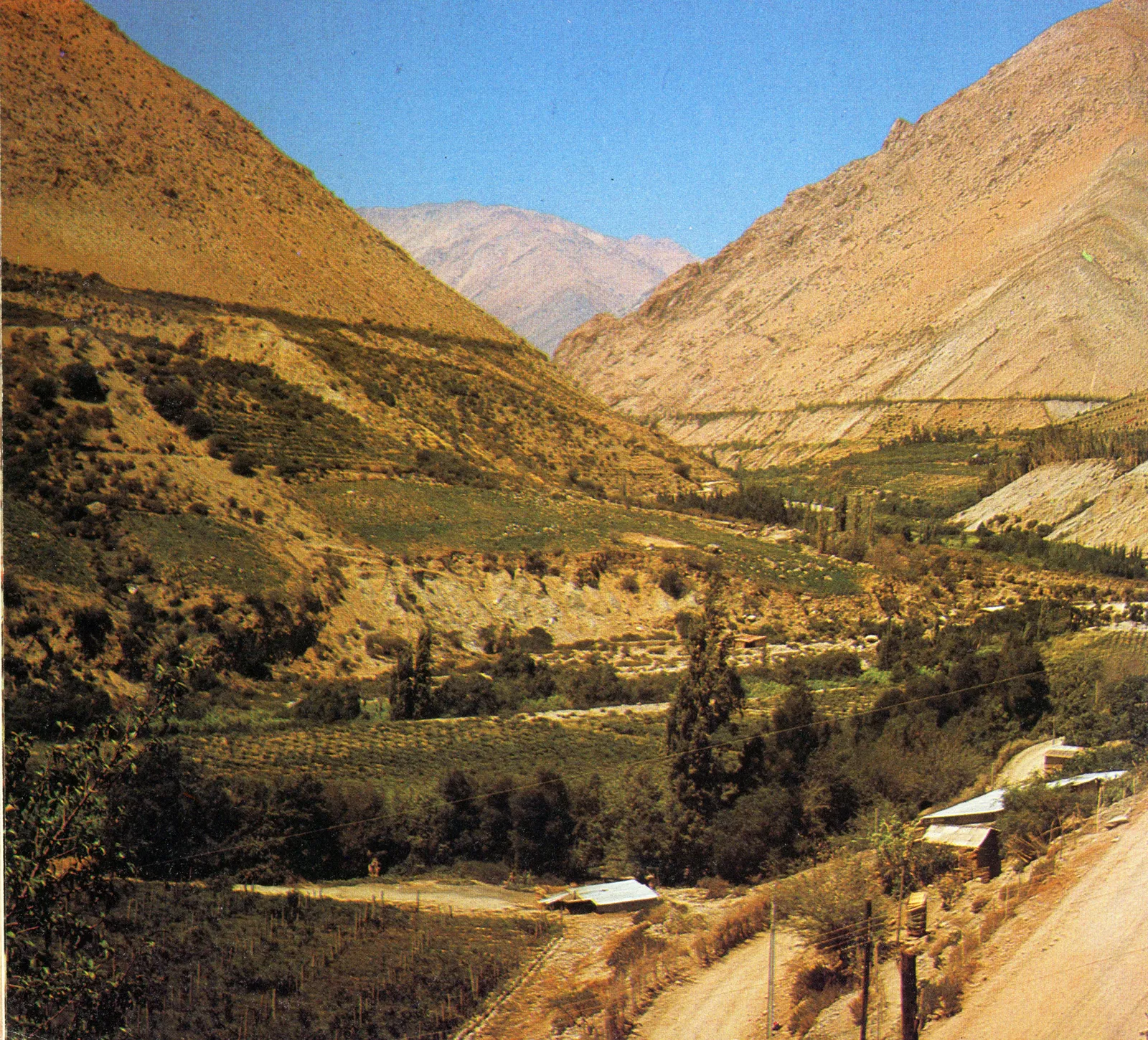 Montegrande, 1980